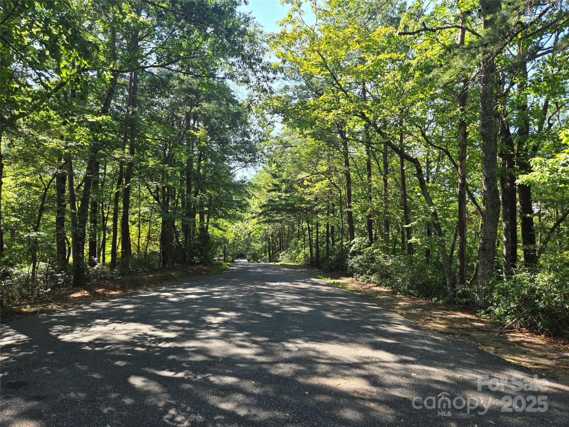 Lot 152 Sullivan Lane - Photo 3