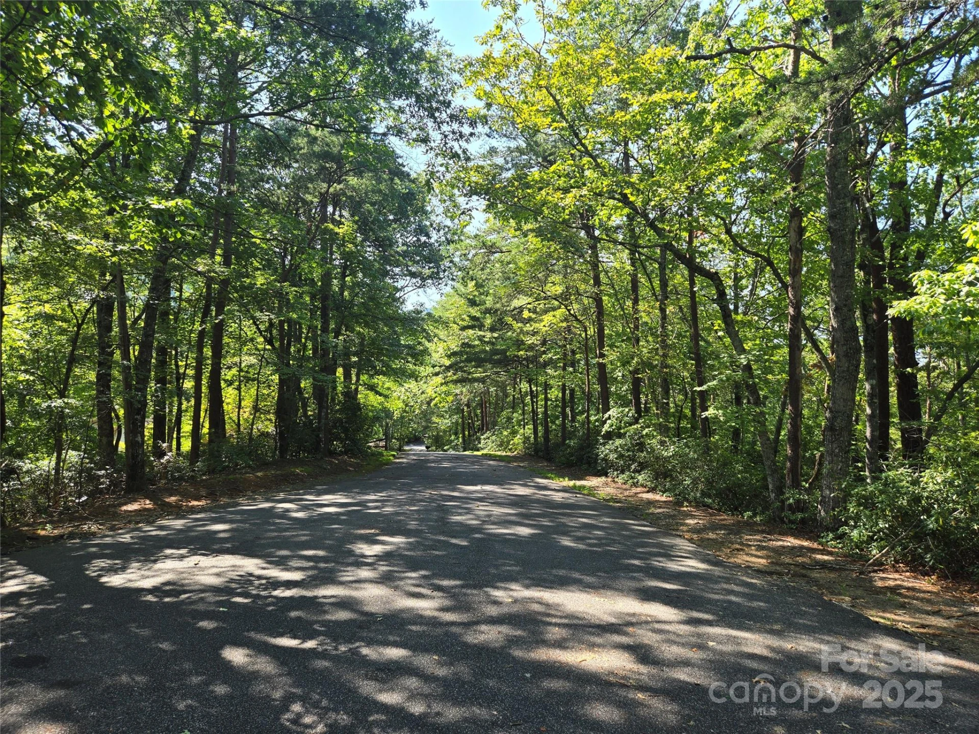 Lot 152 Sullivan Lane - Photo 3