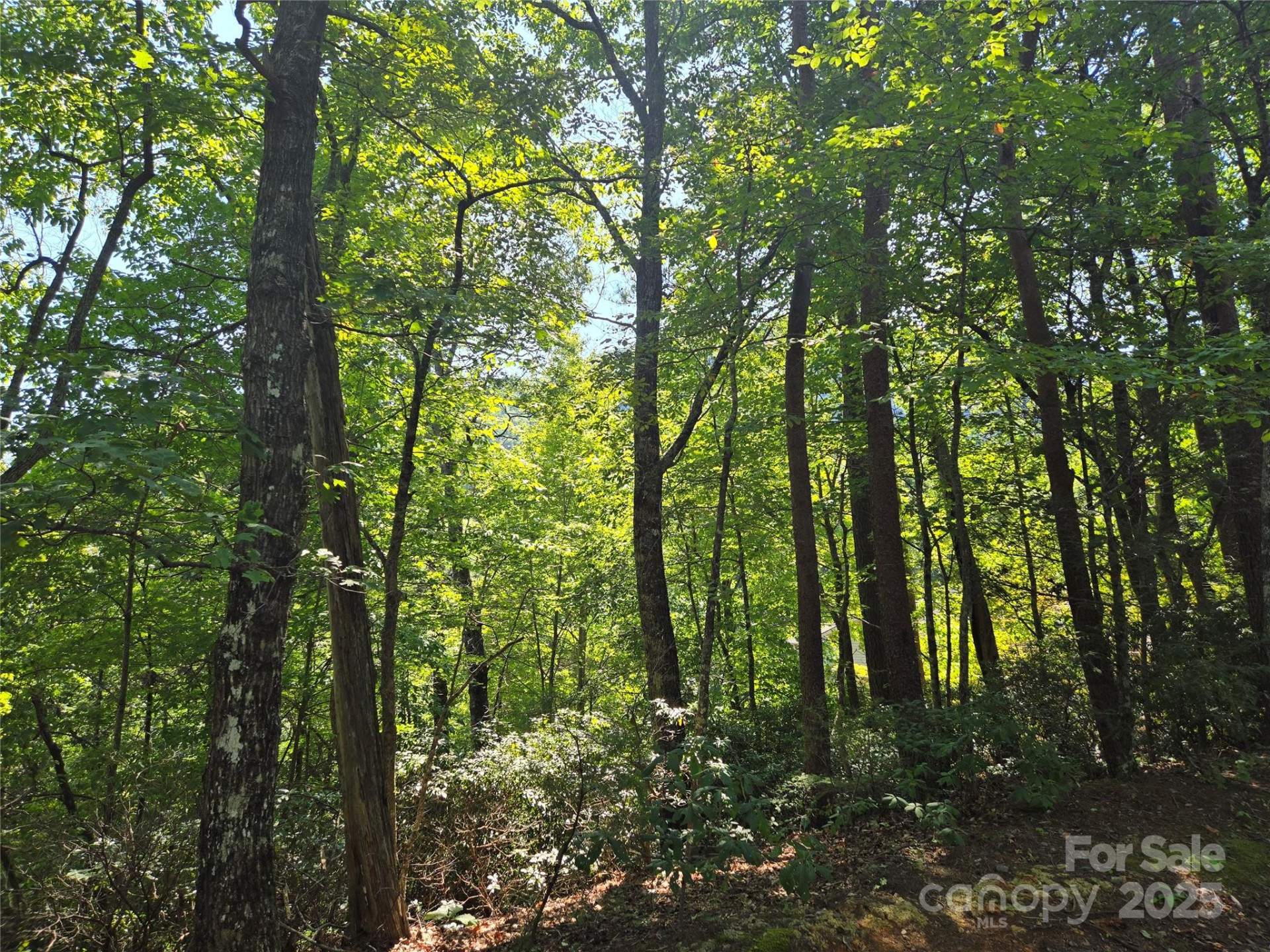 Lot 152 Sullivan Lane - Photo 4