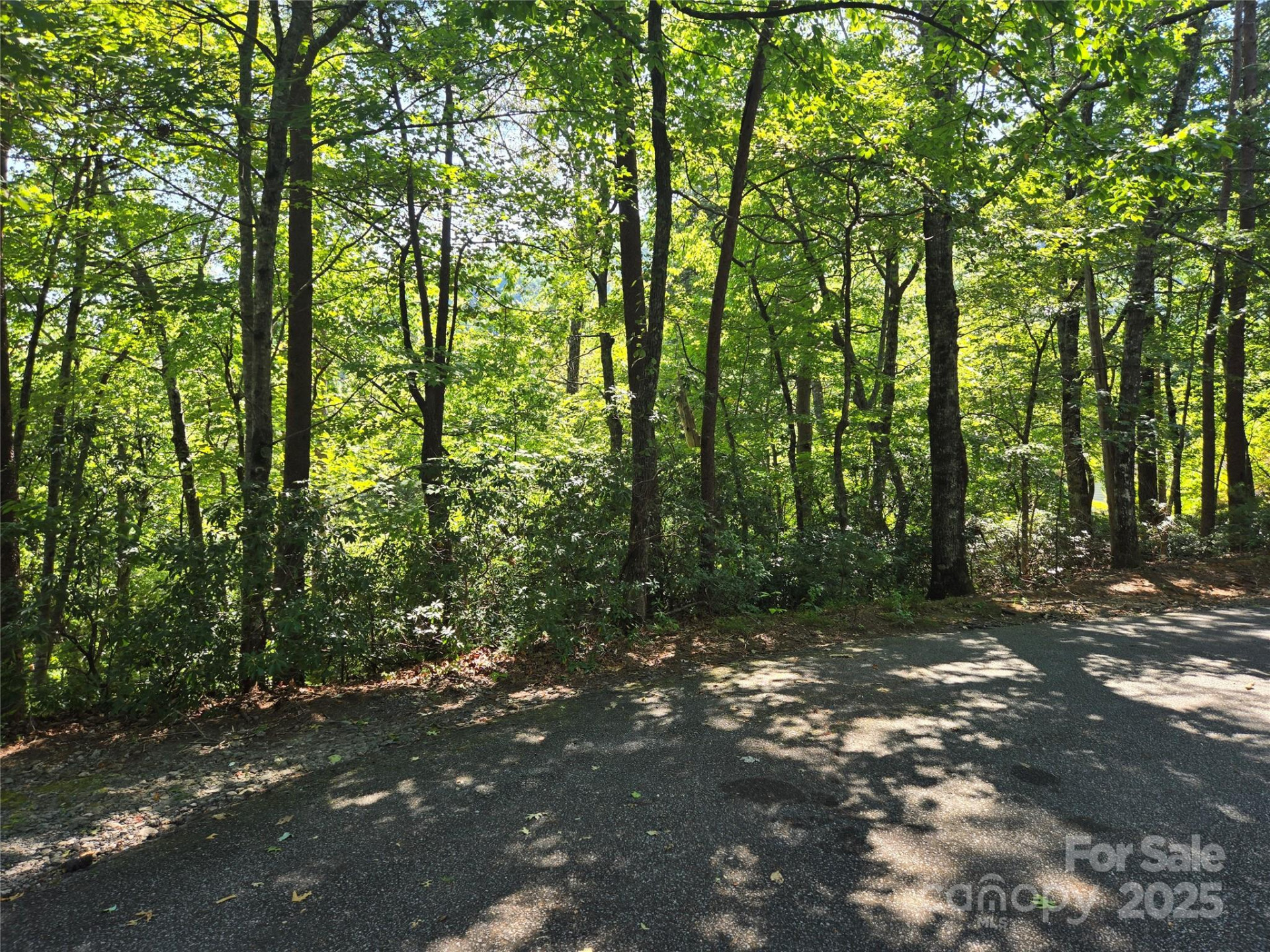 Lot 152 Sullivan Lane - Photo 5