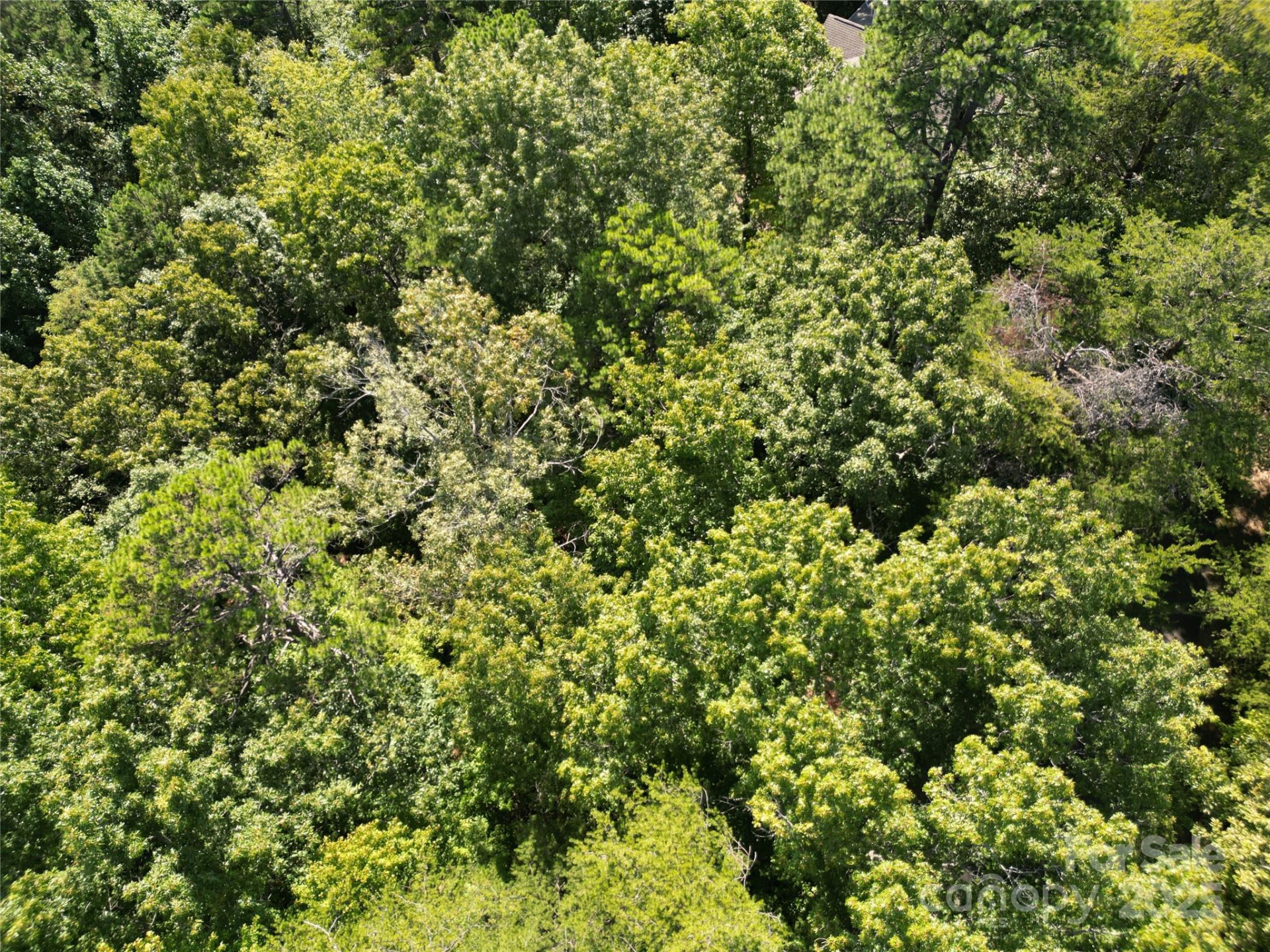 Lot 152 Sullivan Lane - Photo 6