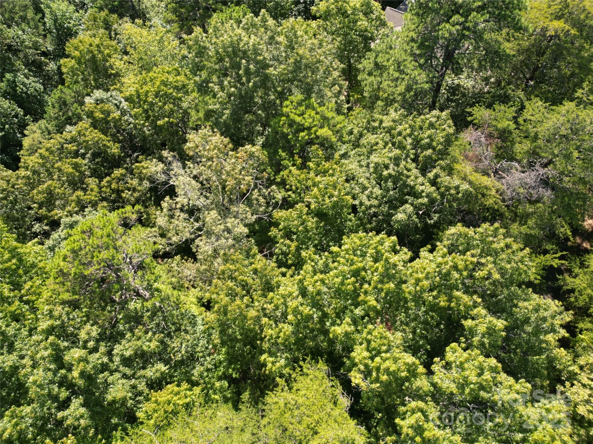 Lot 152 Sullivan Lane - Photo 6