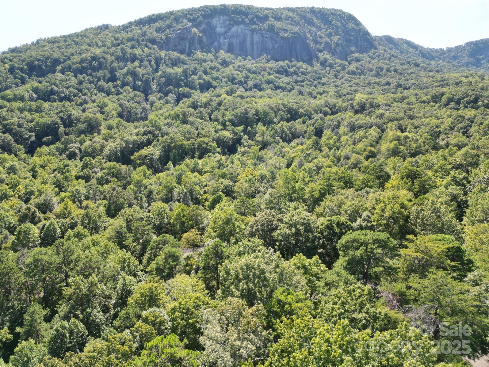 Lot 152 Sullivan Lane - Photo 7