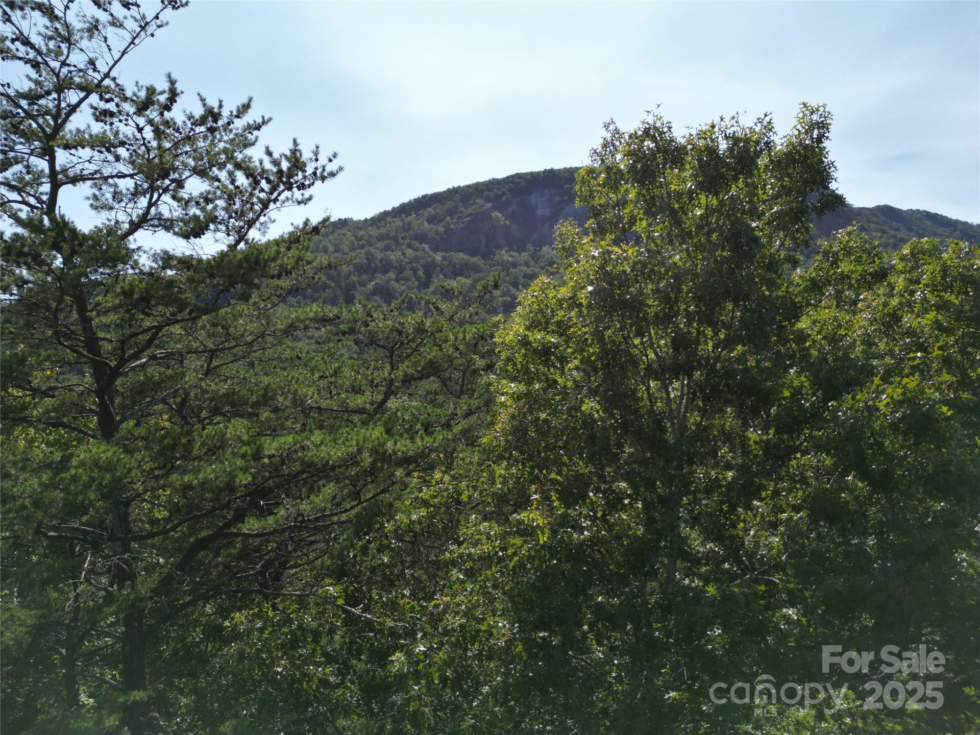 Lot 152 Sullivan Lane - Photo 10