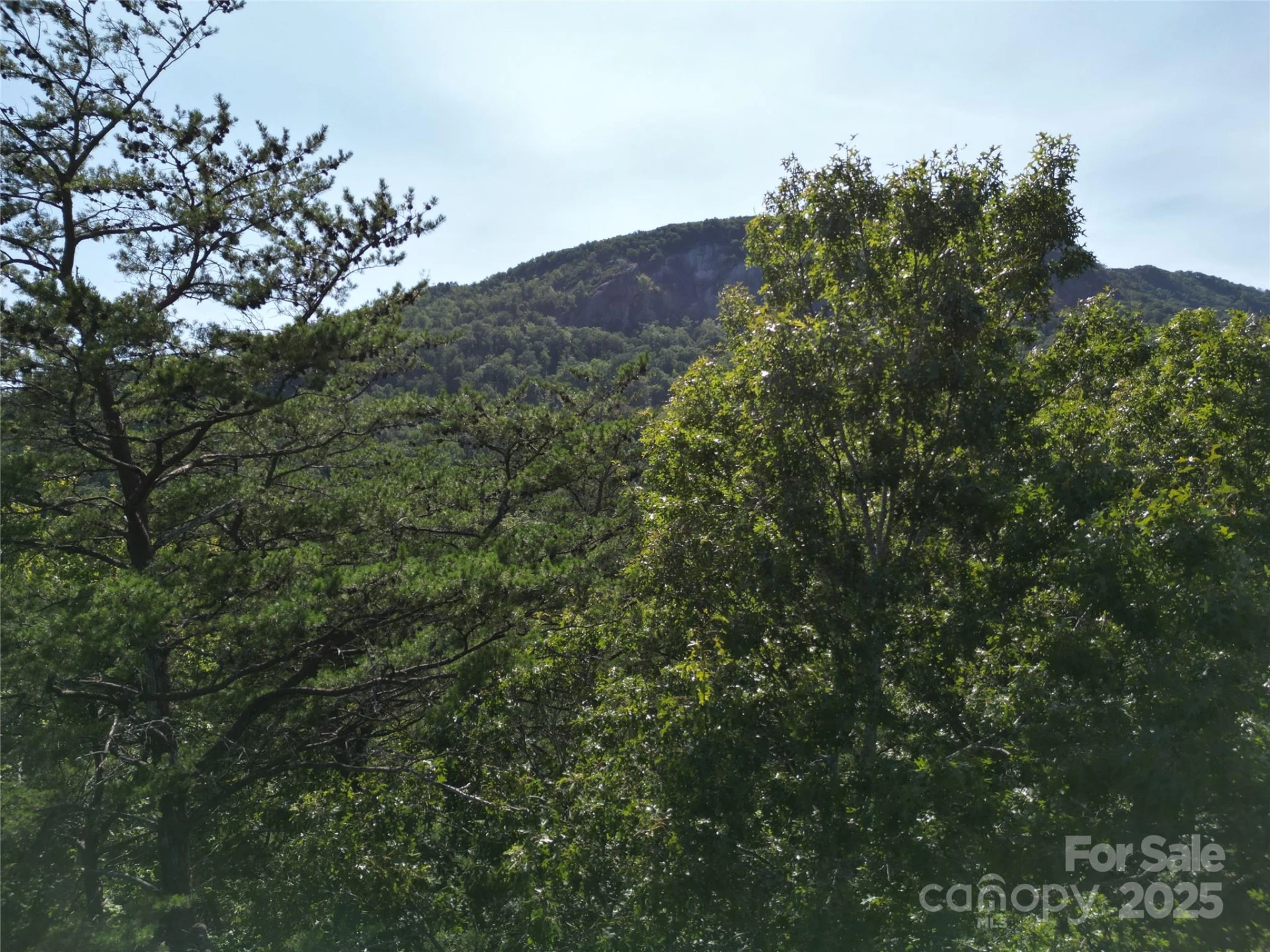 Lot 152 Sullivan Lane - Photo 10