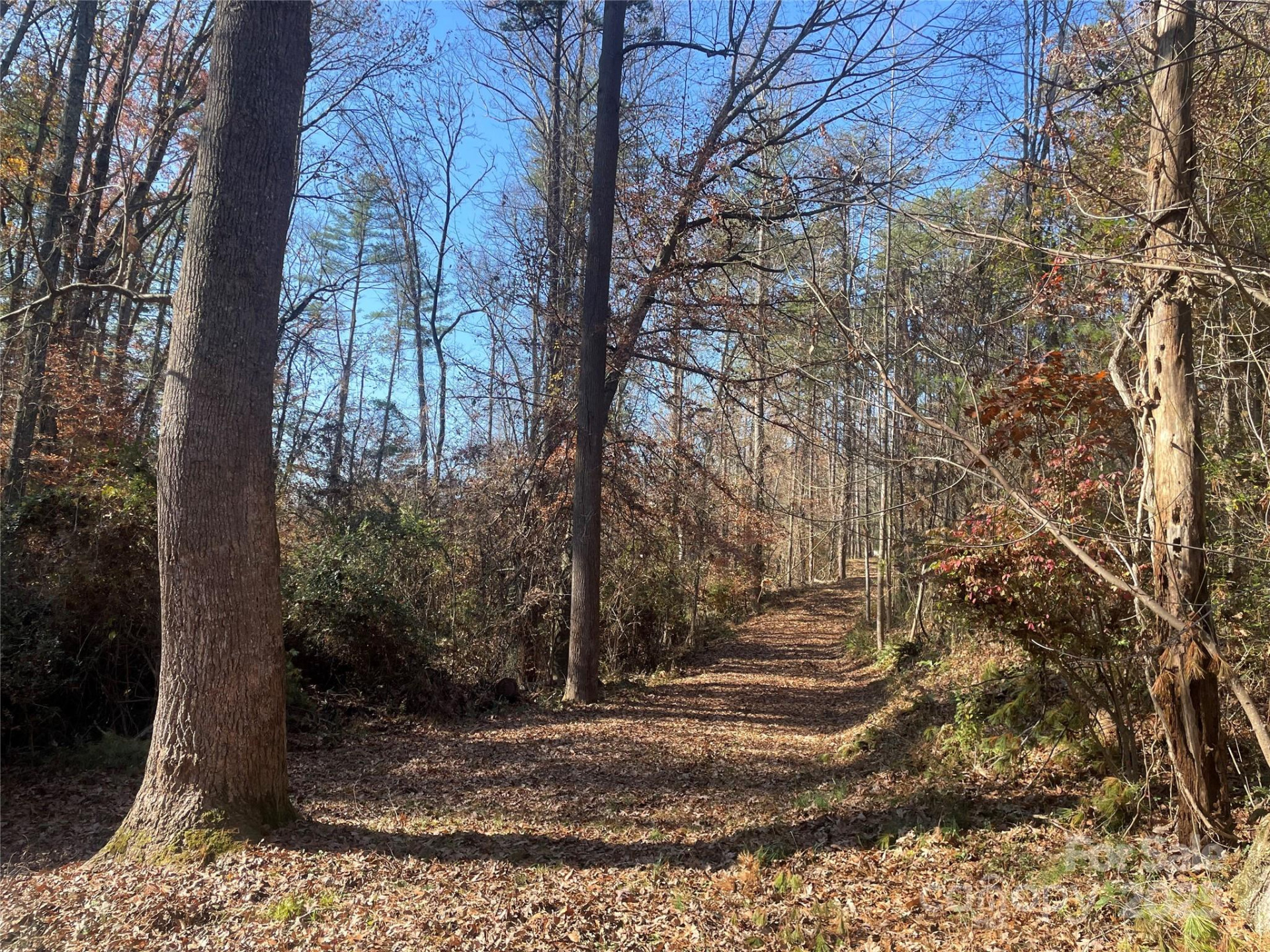 99999 Monticello Road