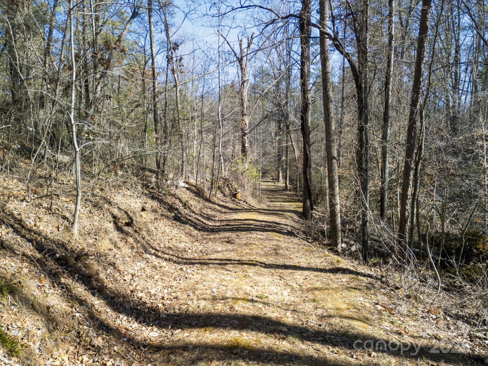 99999 Monticello Road - Photo 11