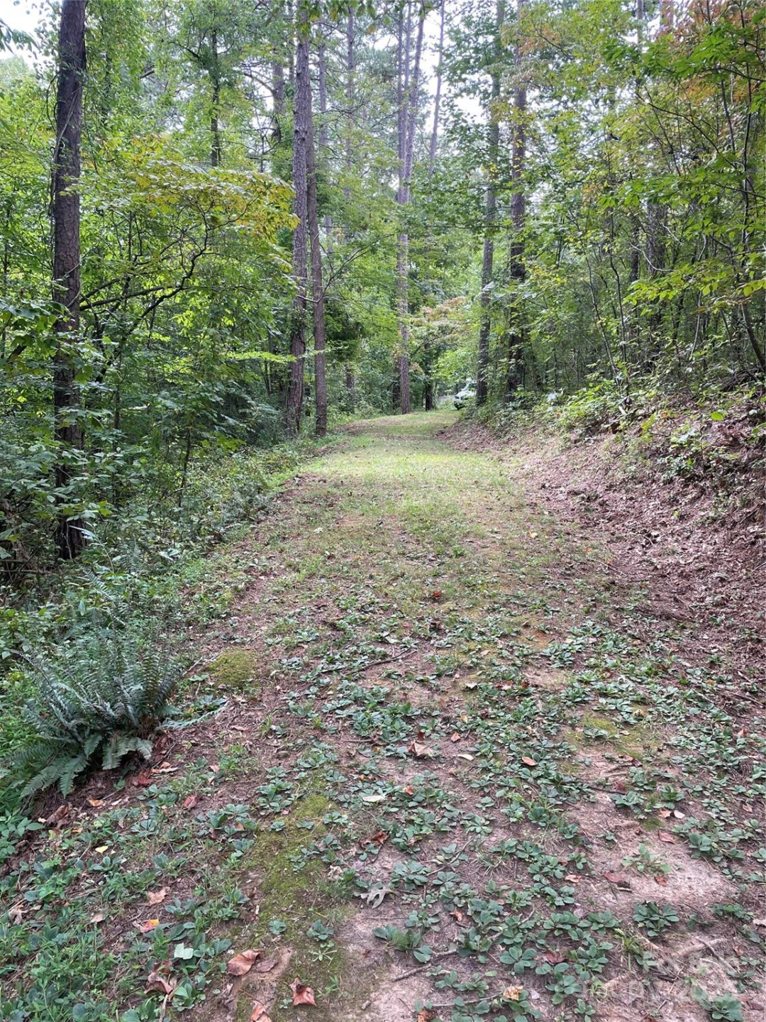 99999 Monticello Road - Photo 3