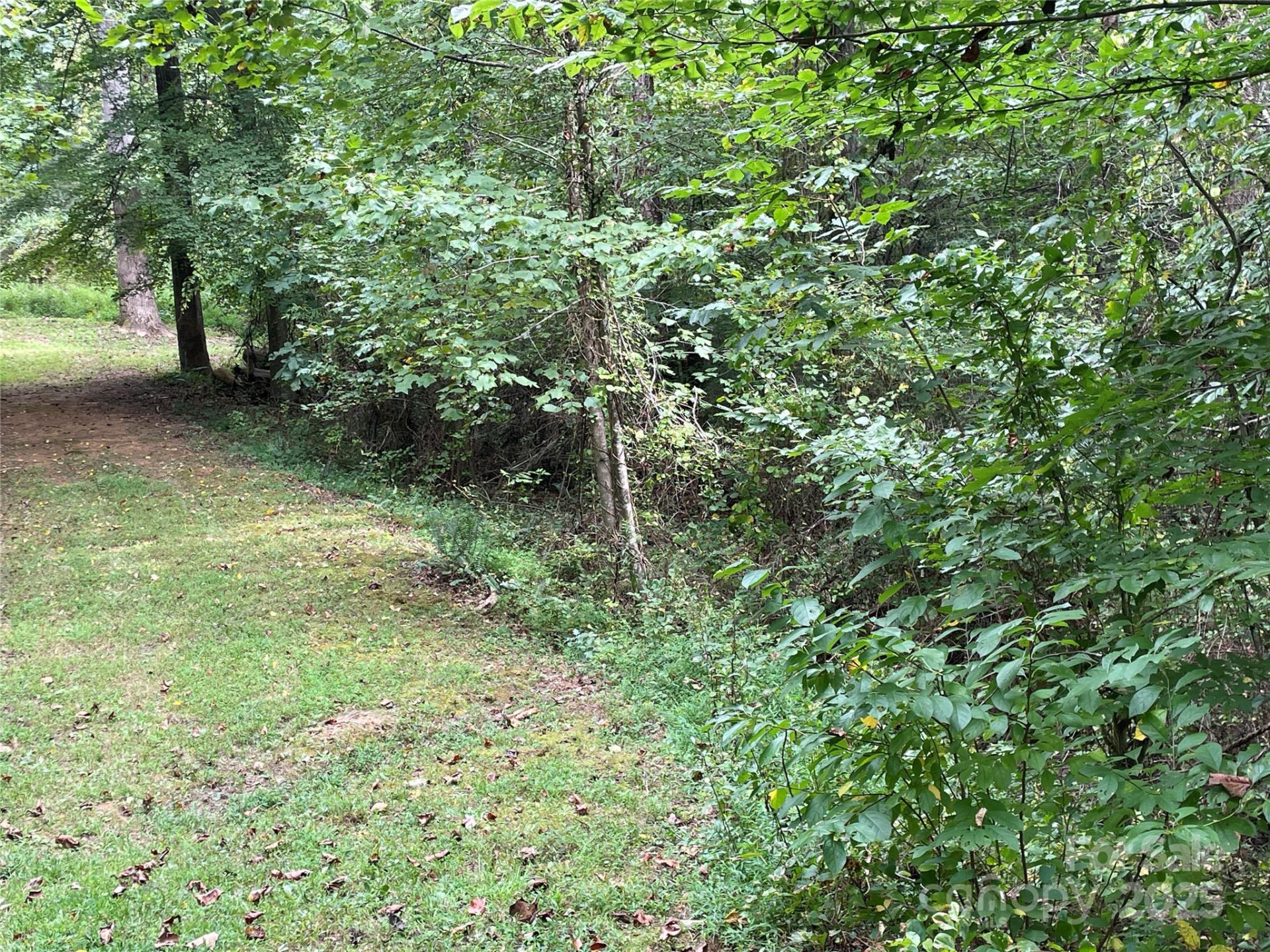 99999 Monticello Road - Photo 4