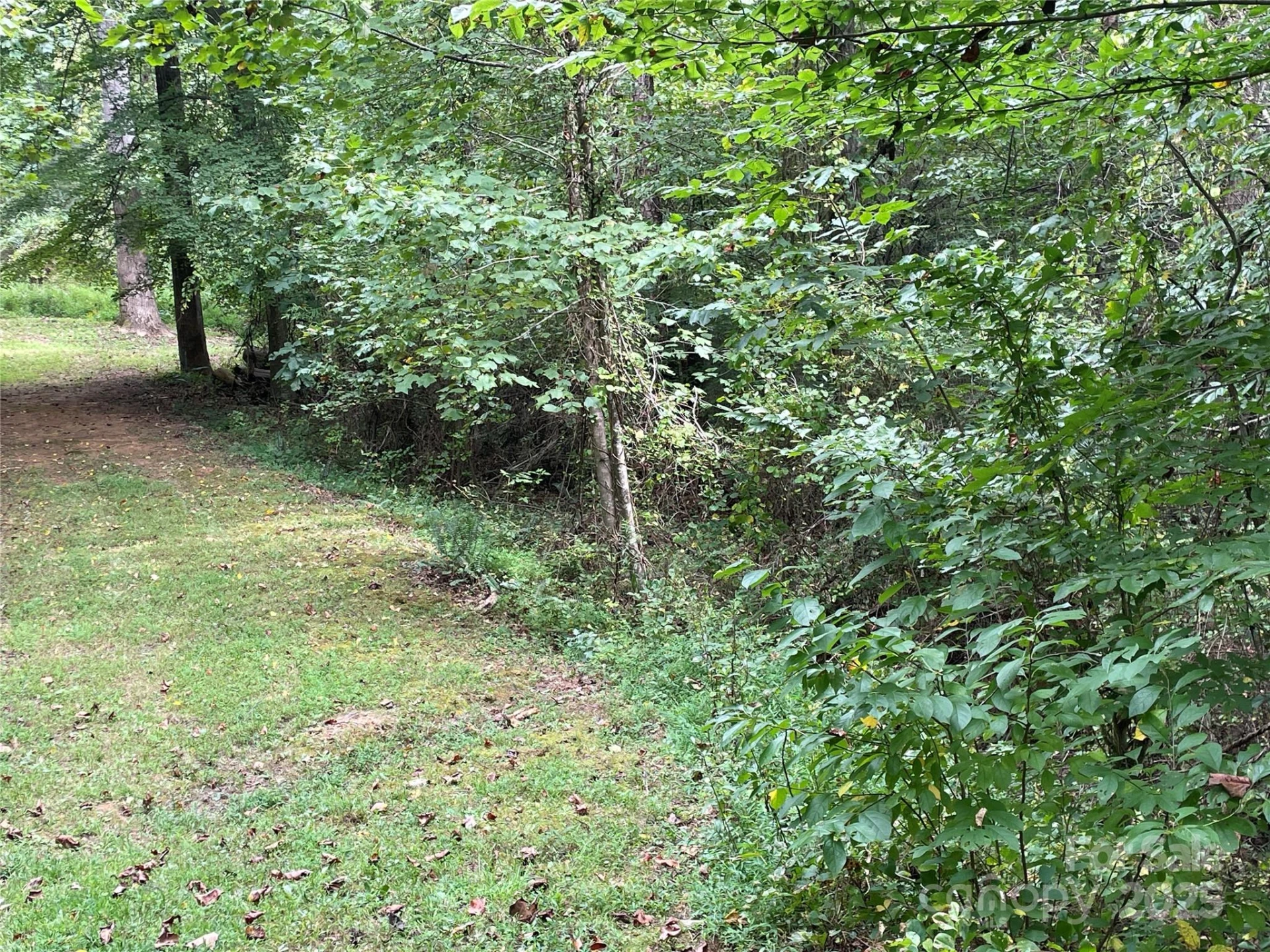 99999 Monticello Road - Photo 4
