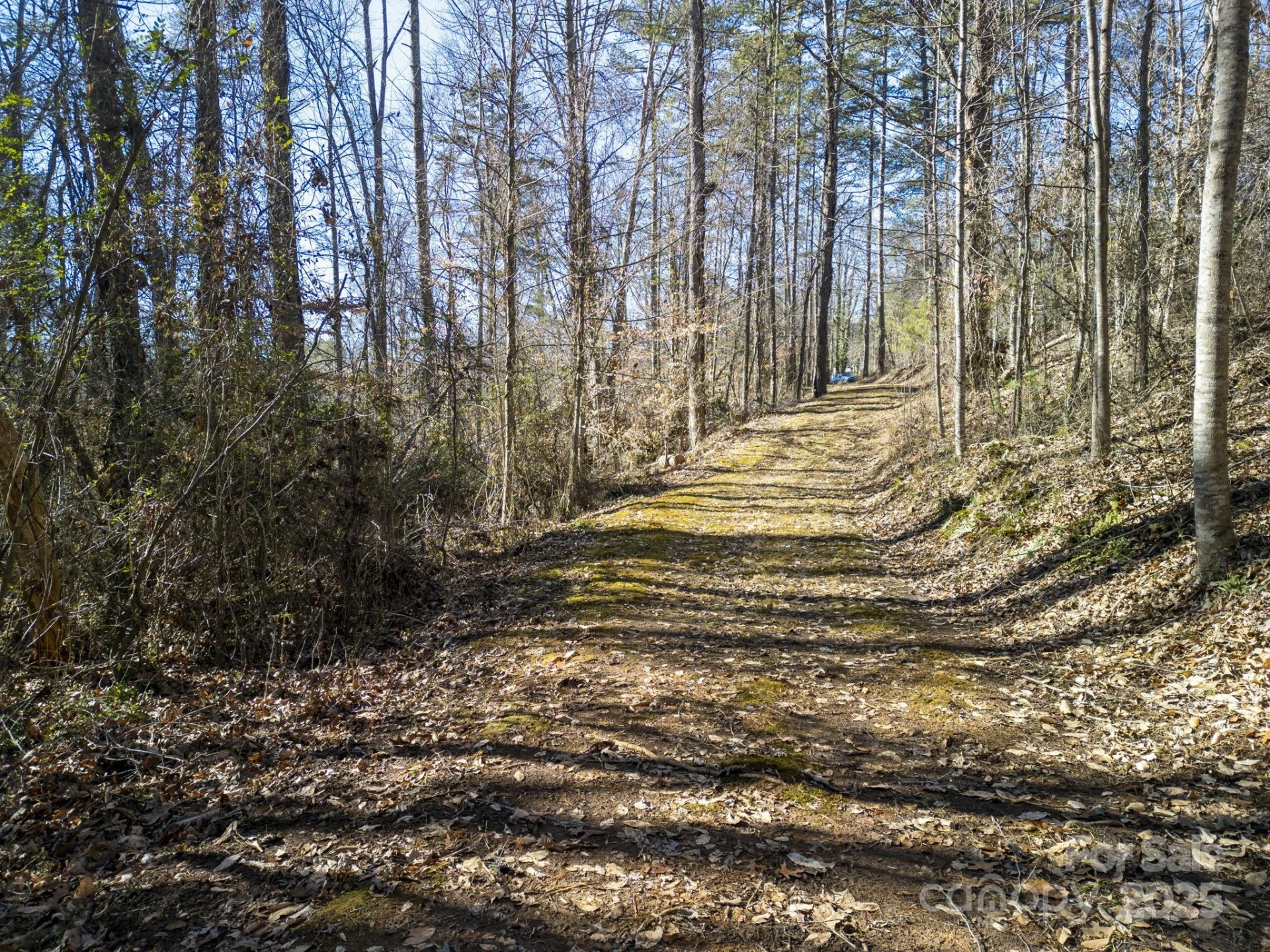 99999 Monticello Road - Photo 7