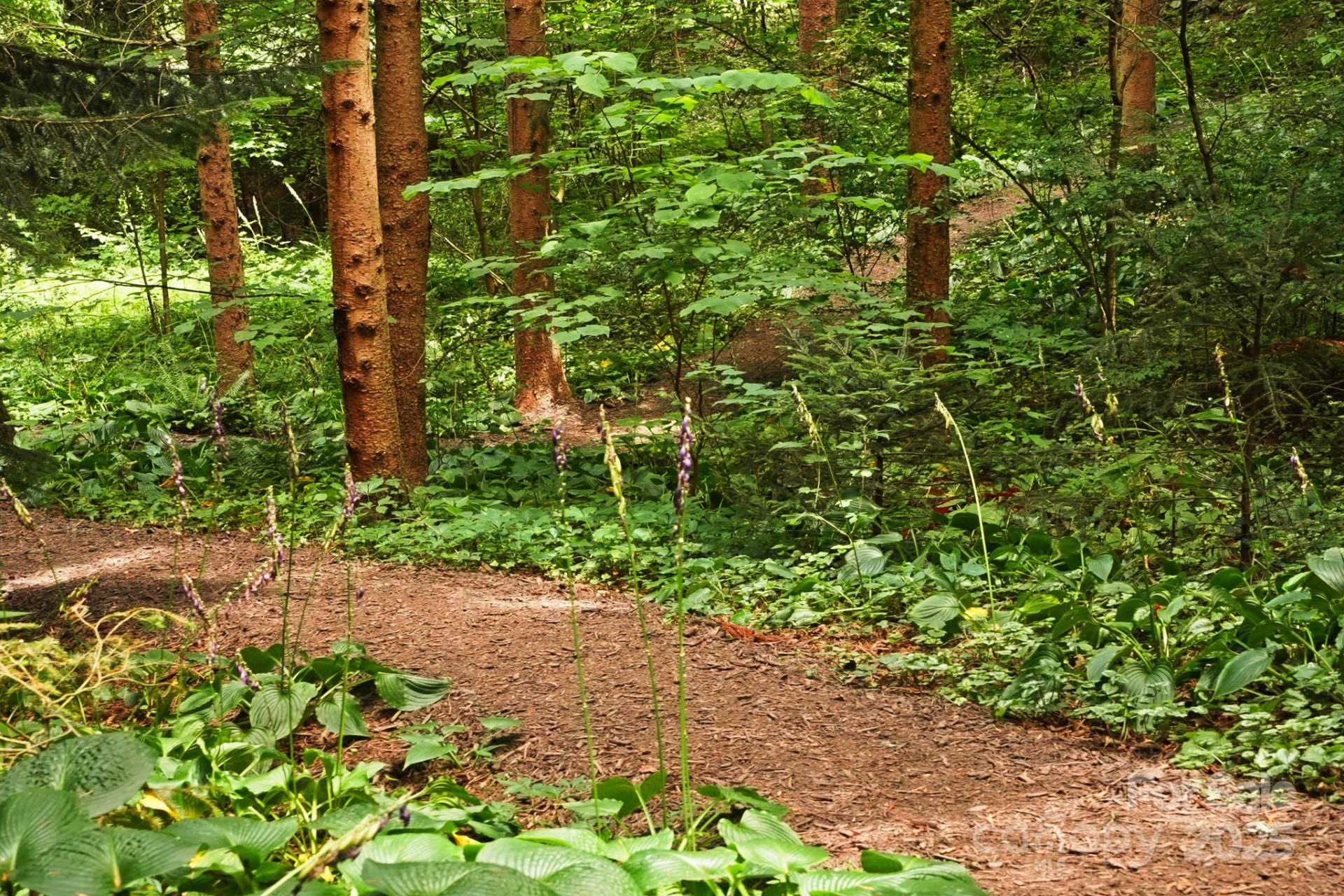 108 Lakewood Drive - Photo 80