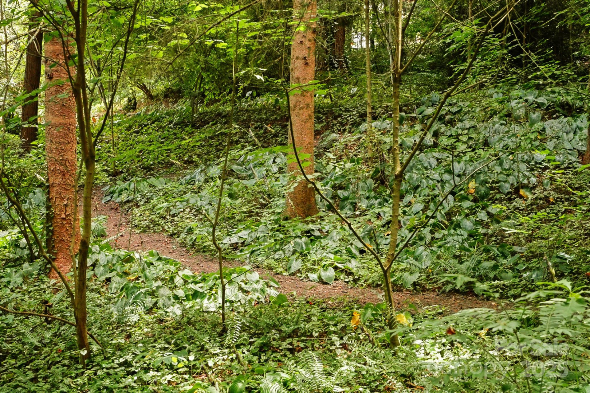 108 Lakewood Drive - Photo 82