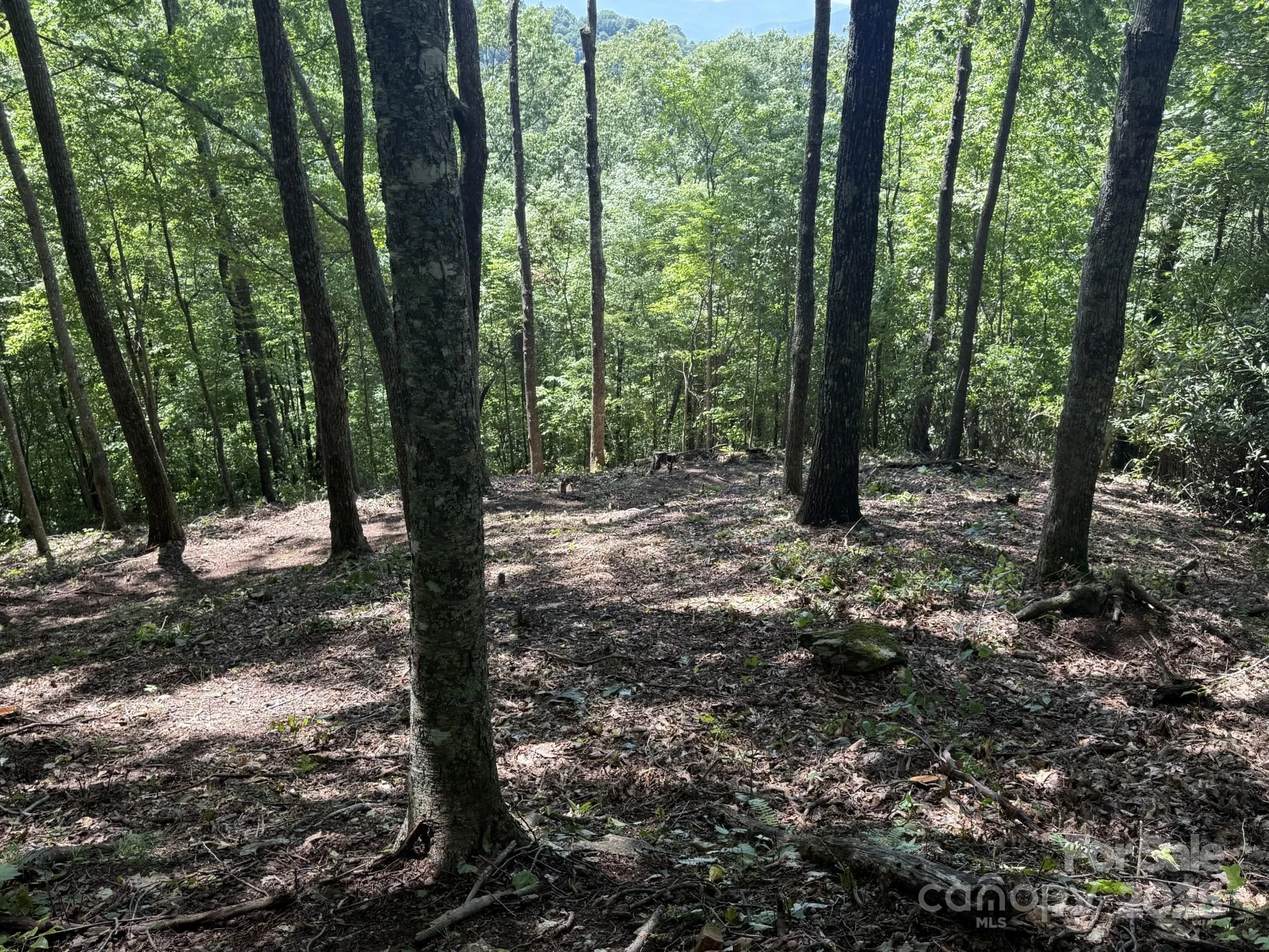 Lt 176 Reach Road #176 - Photo 2