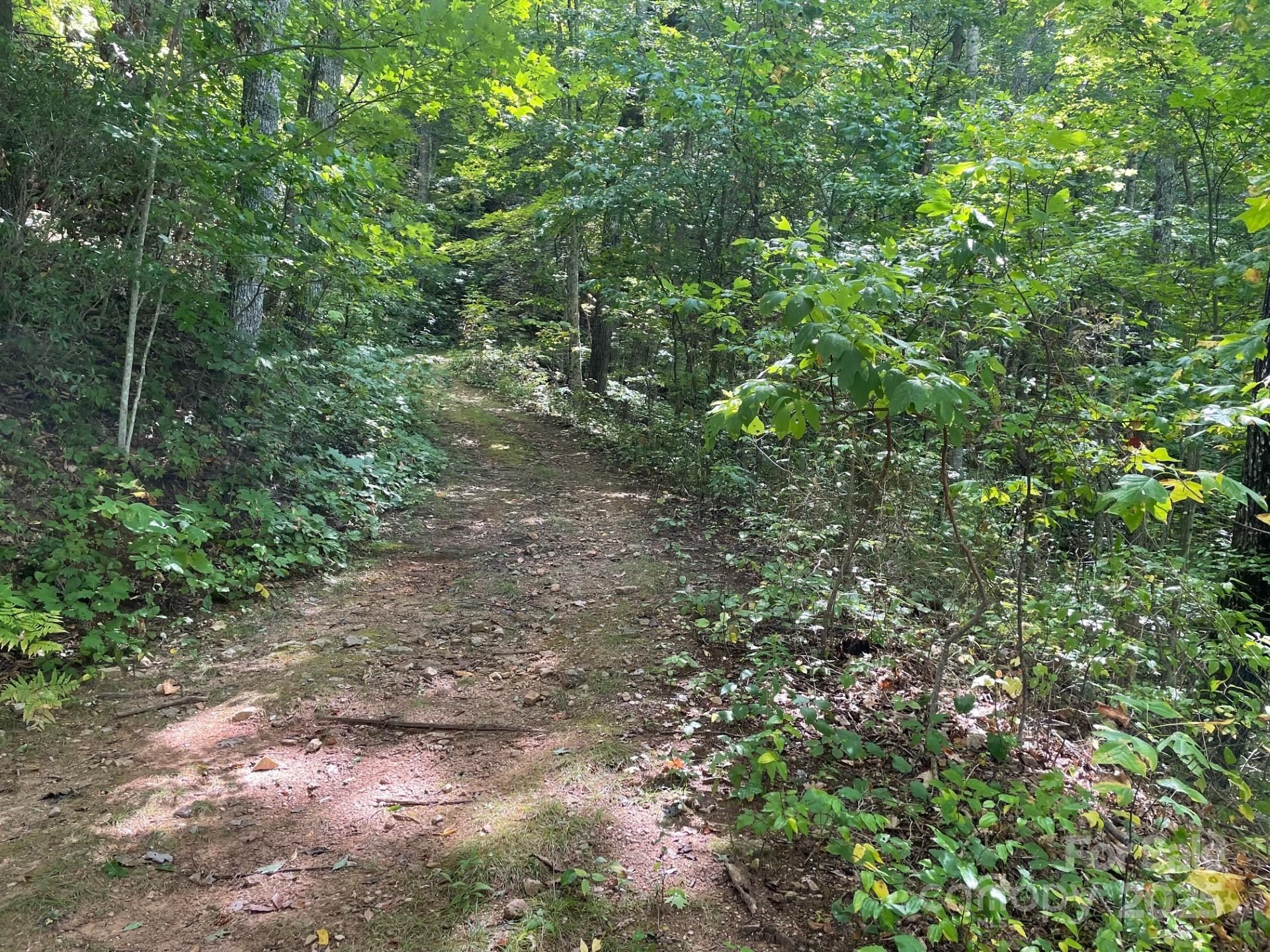 Lt 176 Reach Road #176 - Photo 4