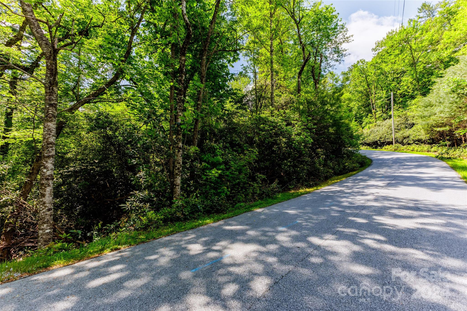 210 Wildberry Court