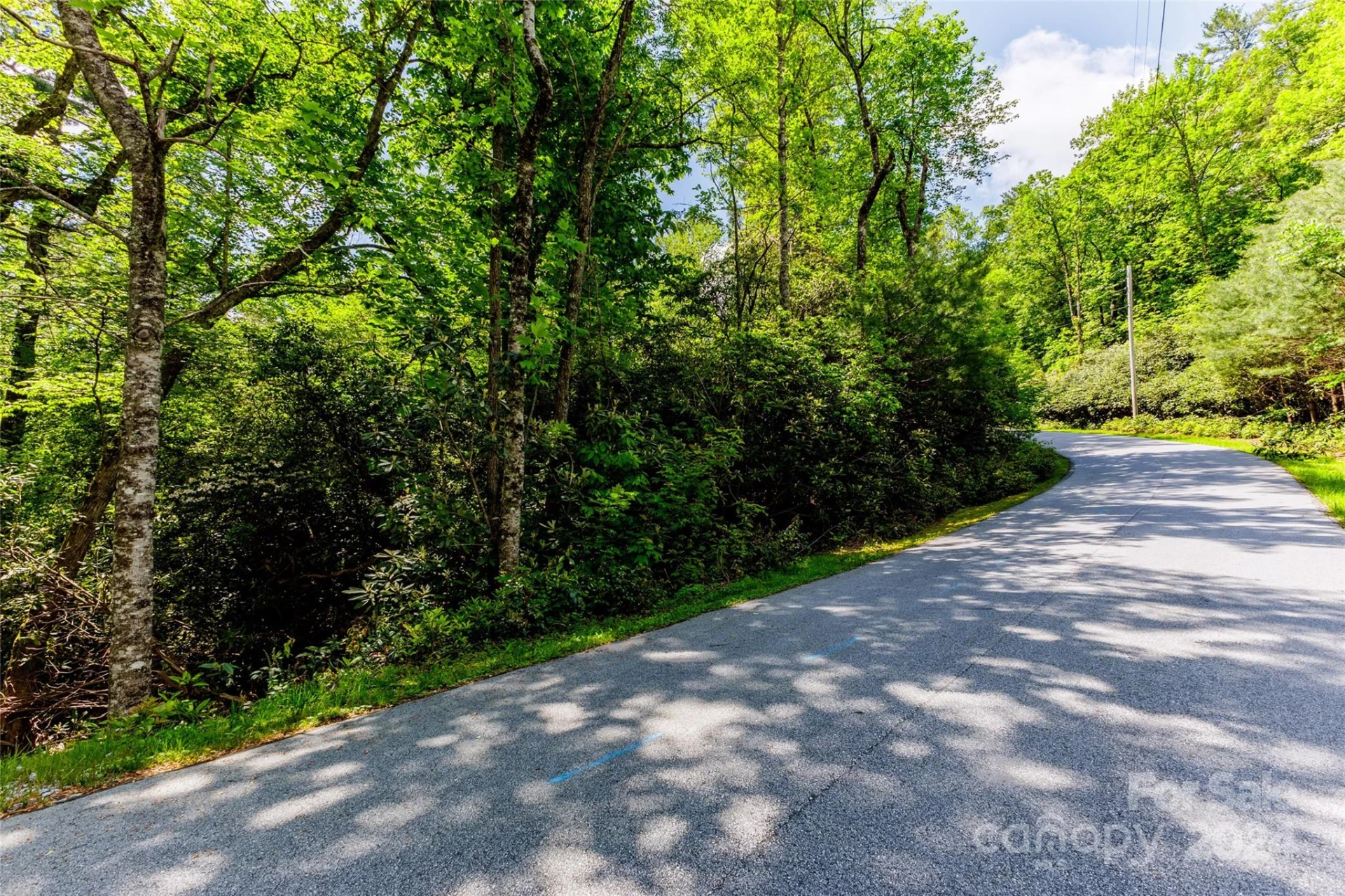 210 Wildberry Court