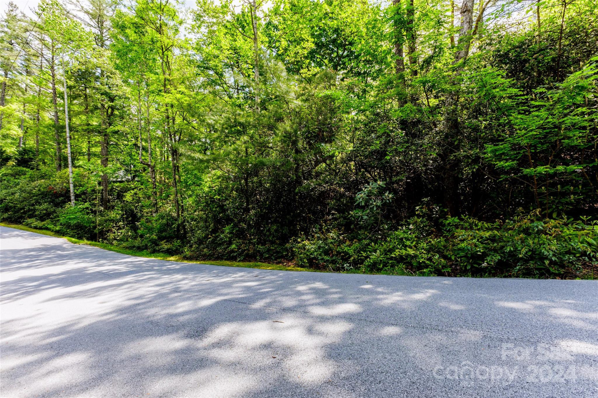 210 Wildberry Court - Photo 3