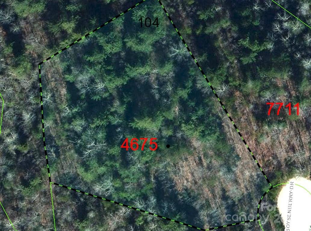 Lot 104 Boysenberry Drive - Photo 6