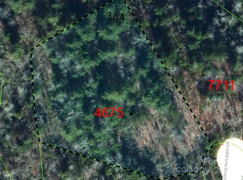 Lot 104 Boysenberry Drive - Photo 6