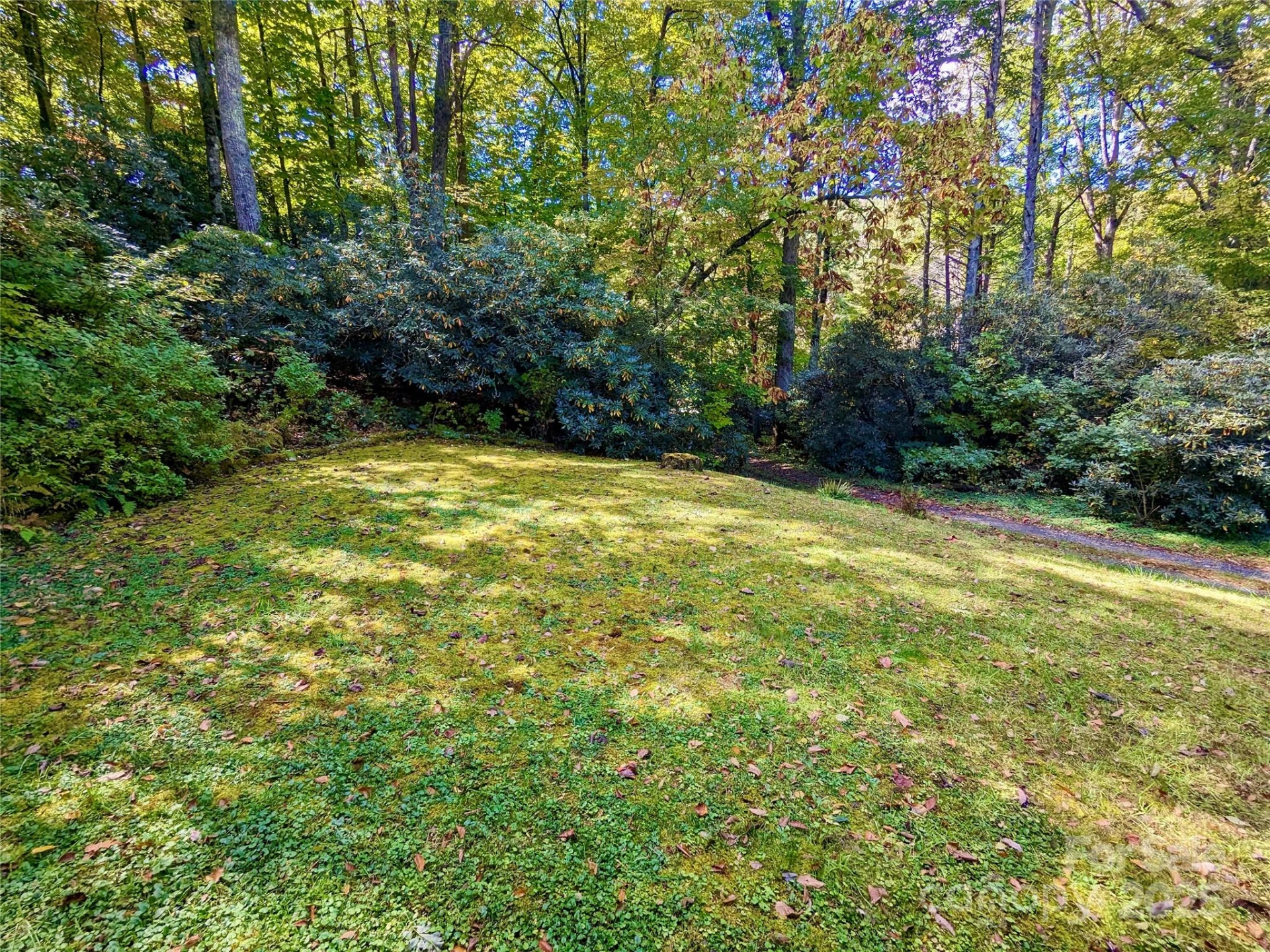 46 Tree Farm Road - Photo 30