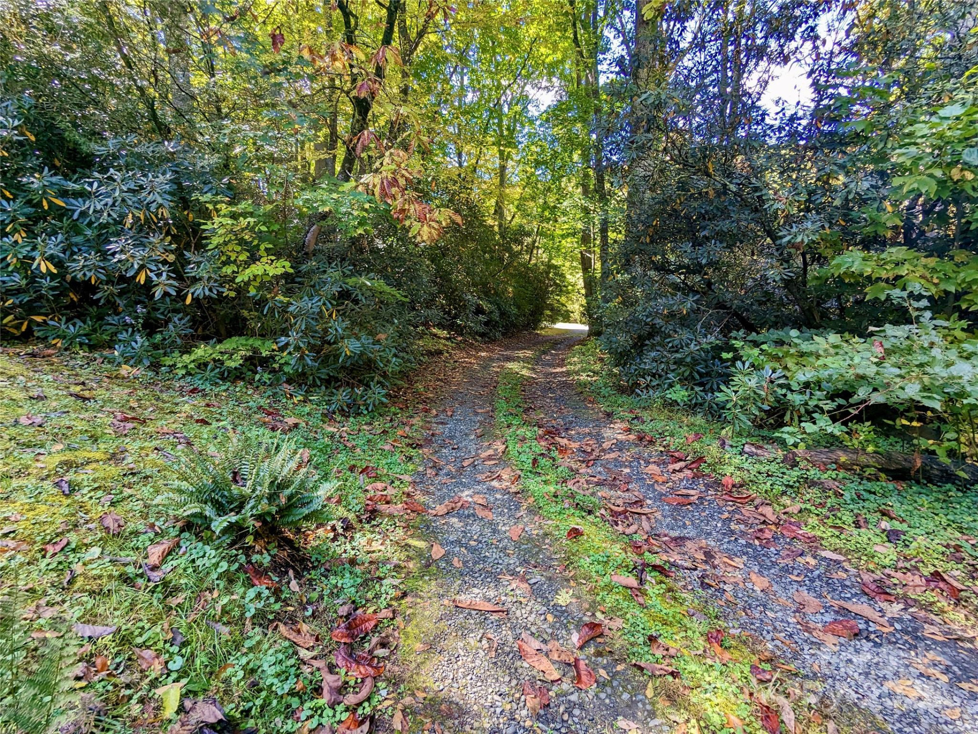 46 Tree Farm Road - Photo 32