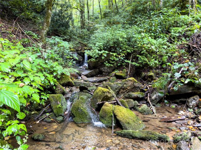 Lot 59 Black Rock Road, Qualla, NC, 28719