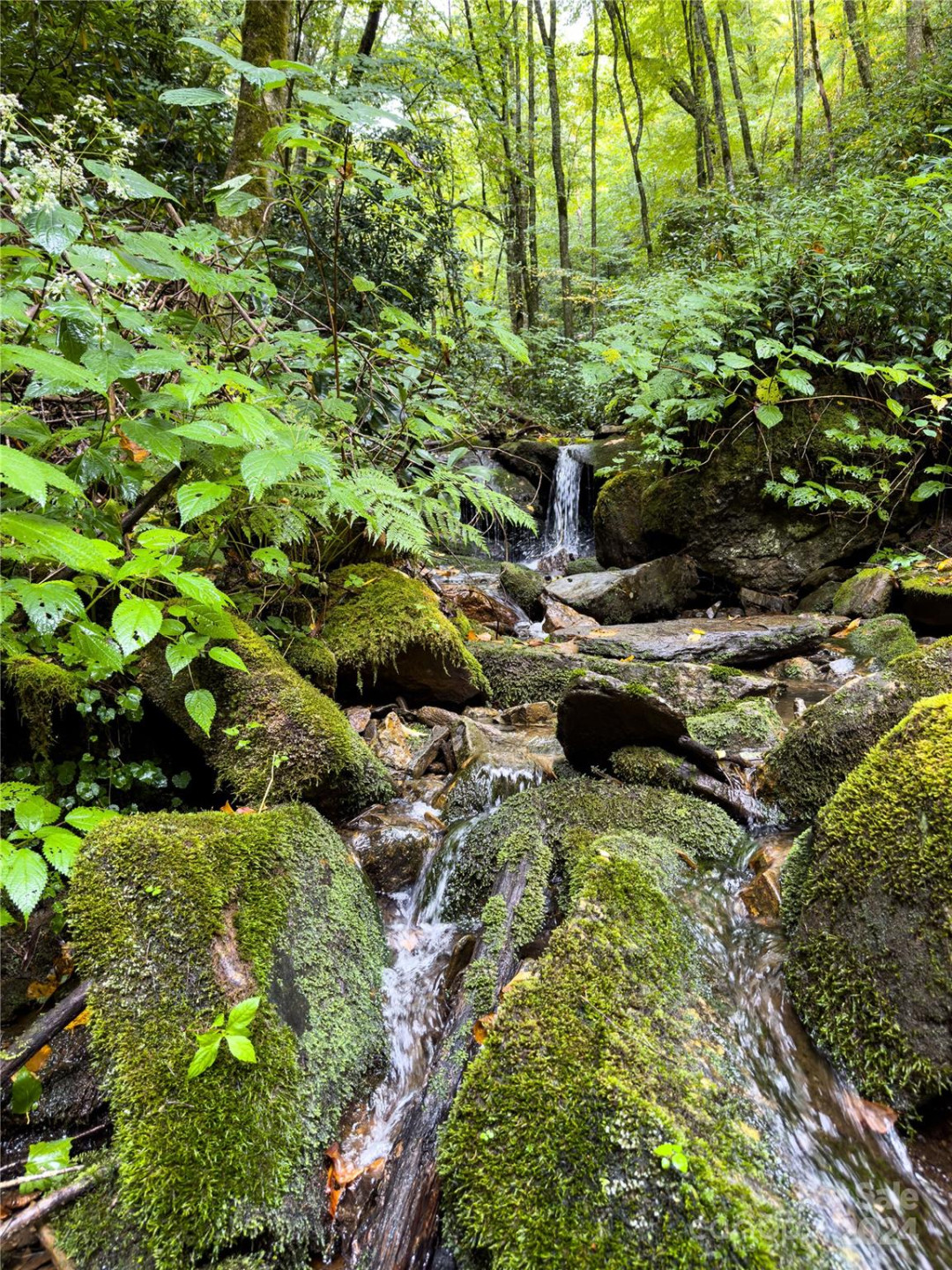 Lot 59 Black Rock Road #59 - Photo 2