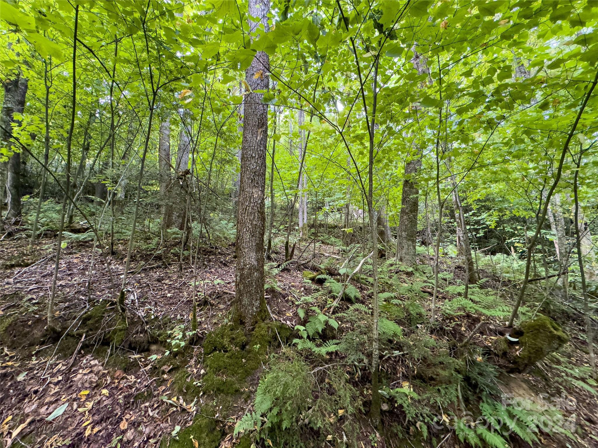 Lot 59 Black Rock Road #59 - Photo 12