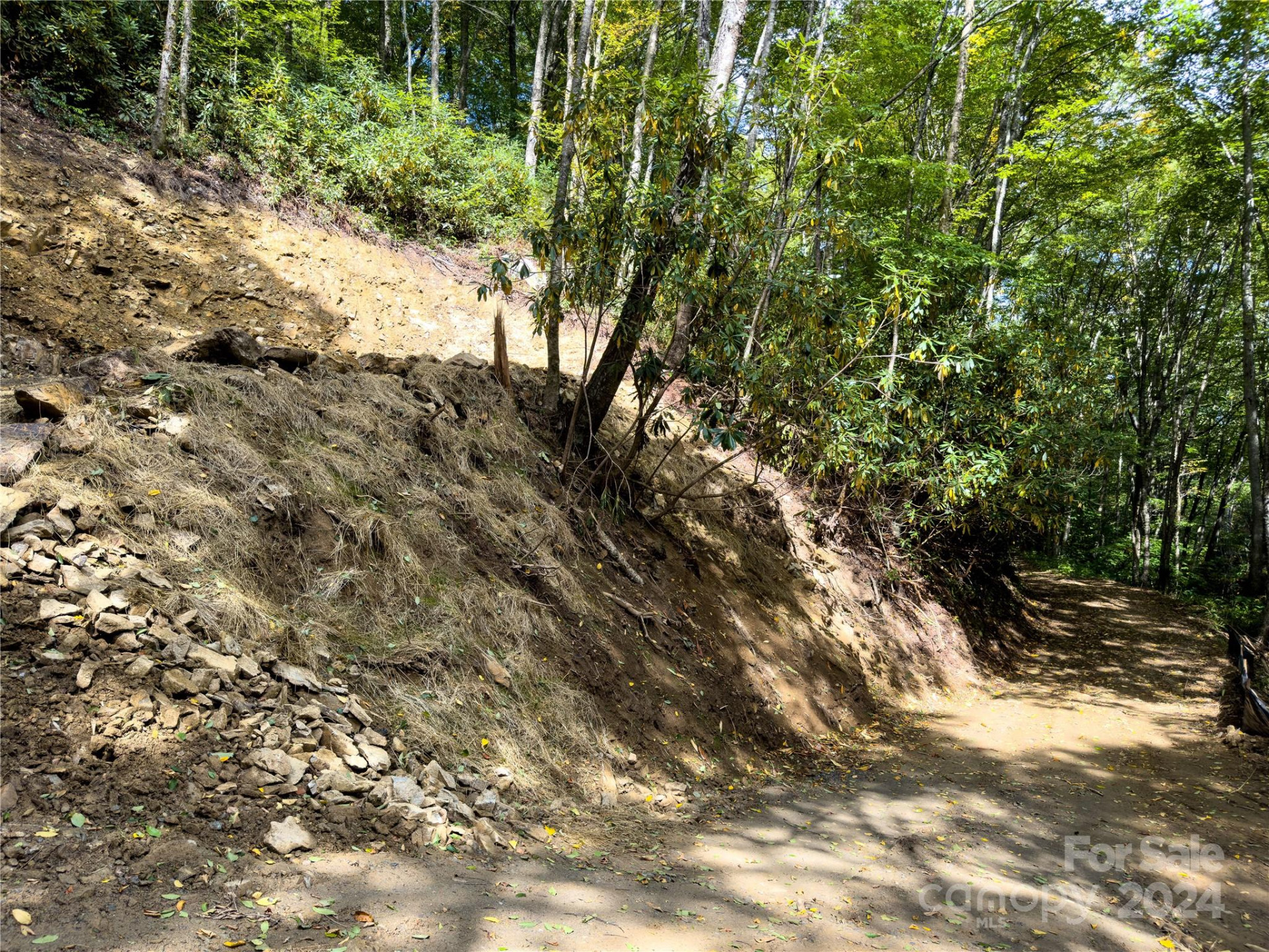 Lot 59 Black Rock Road #59 - Photo 13