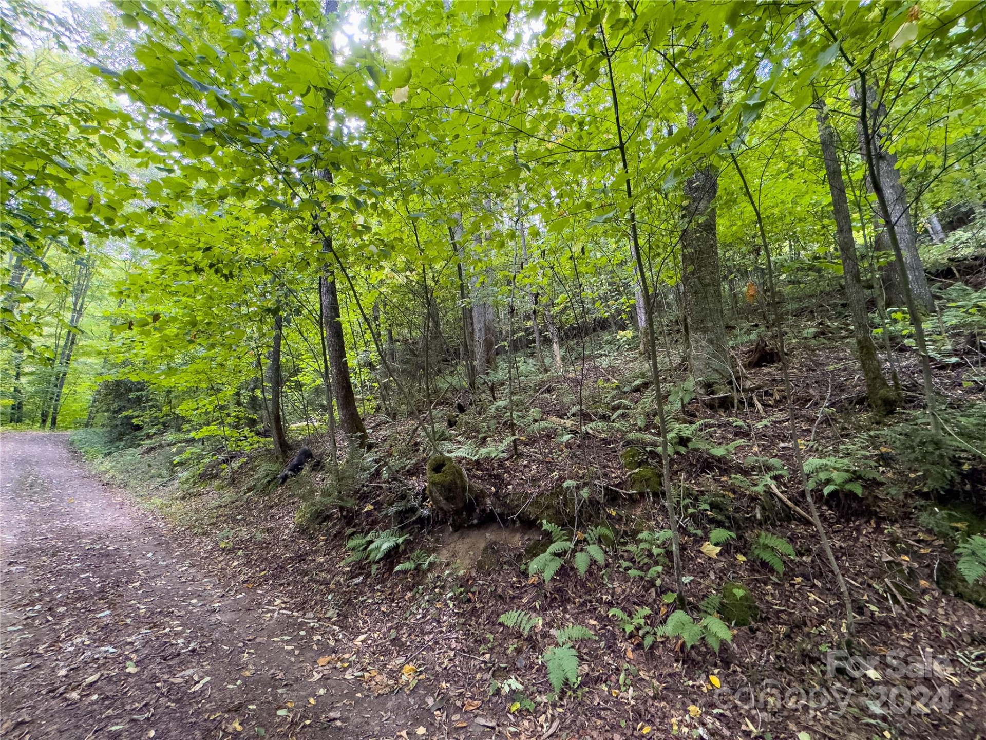 Lot 59 Black Rock Road #59 - Photo 14