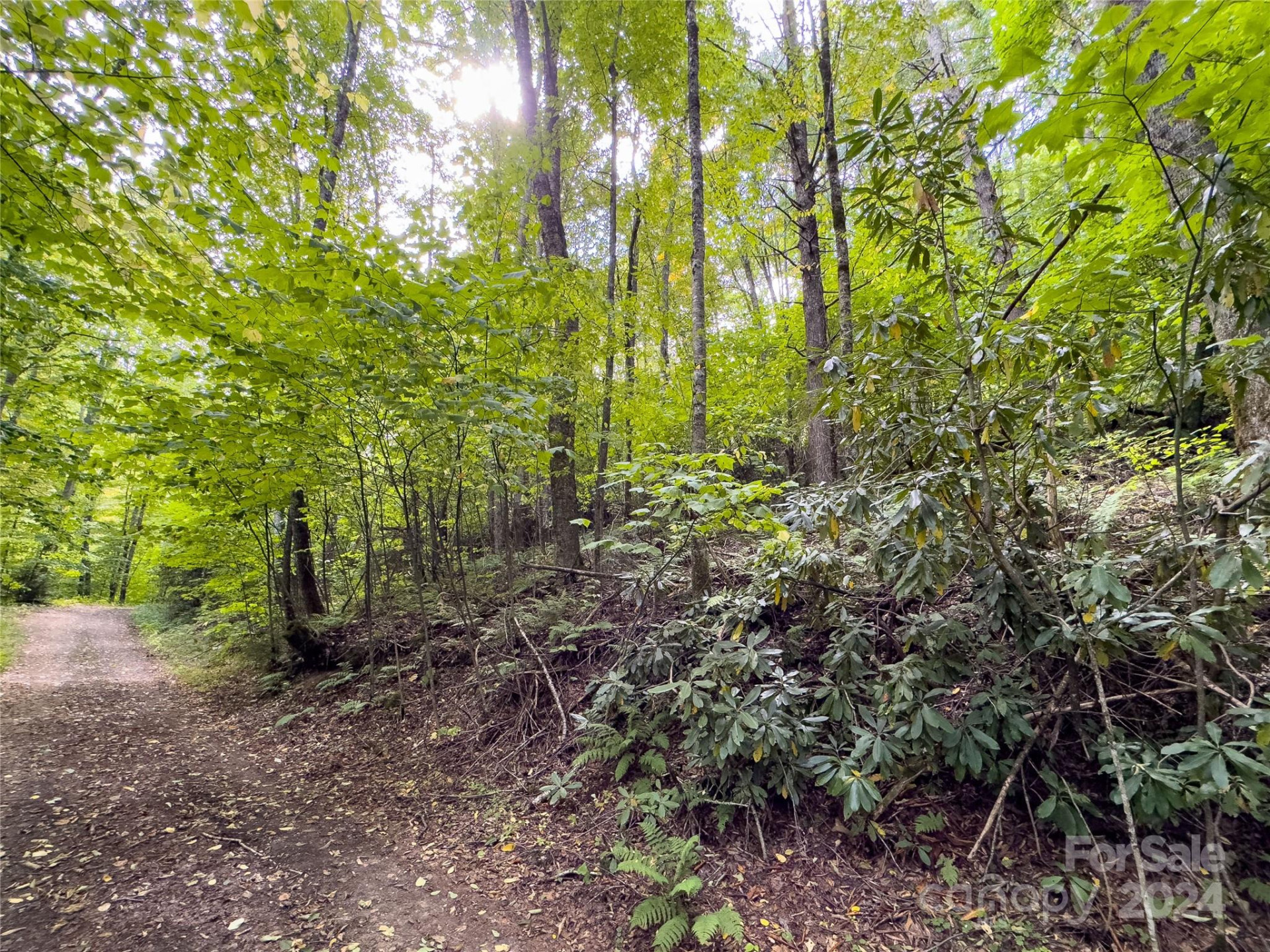 Lot 59 Black Rock Road #59 - Photo 15