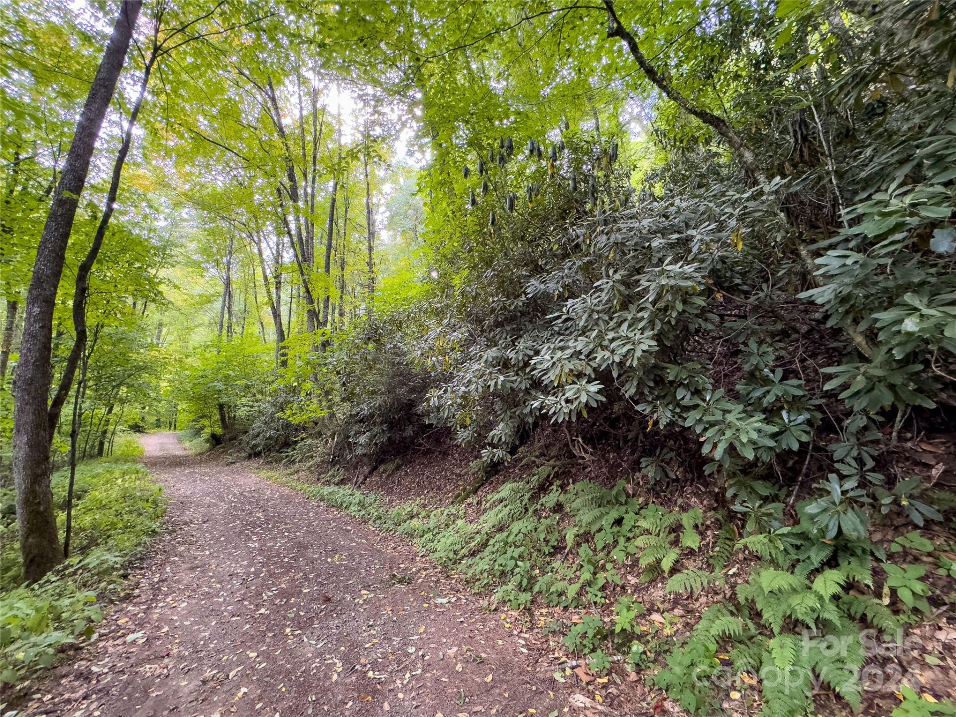 Lot 59 Black Rock Road #59 - Photo 16