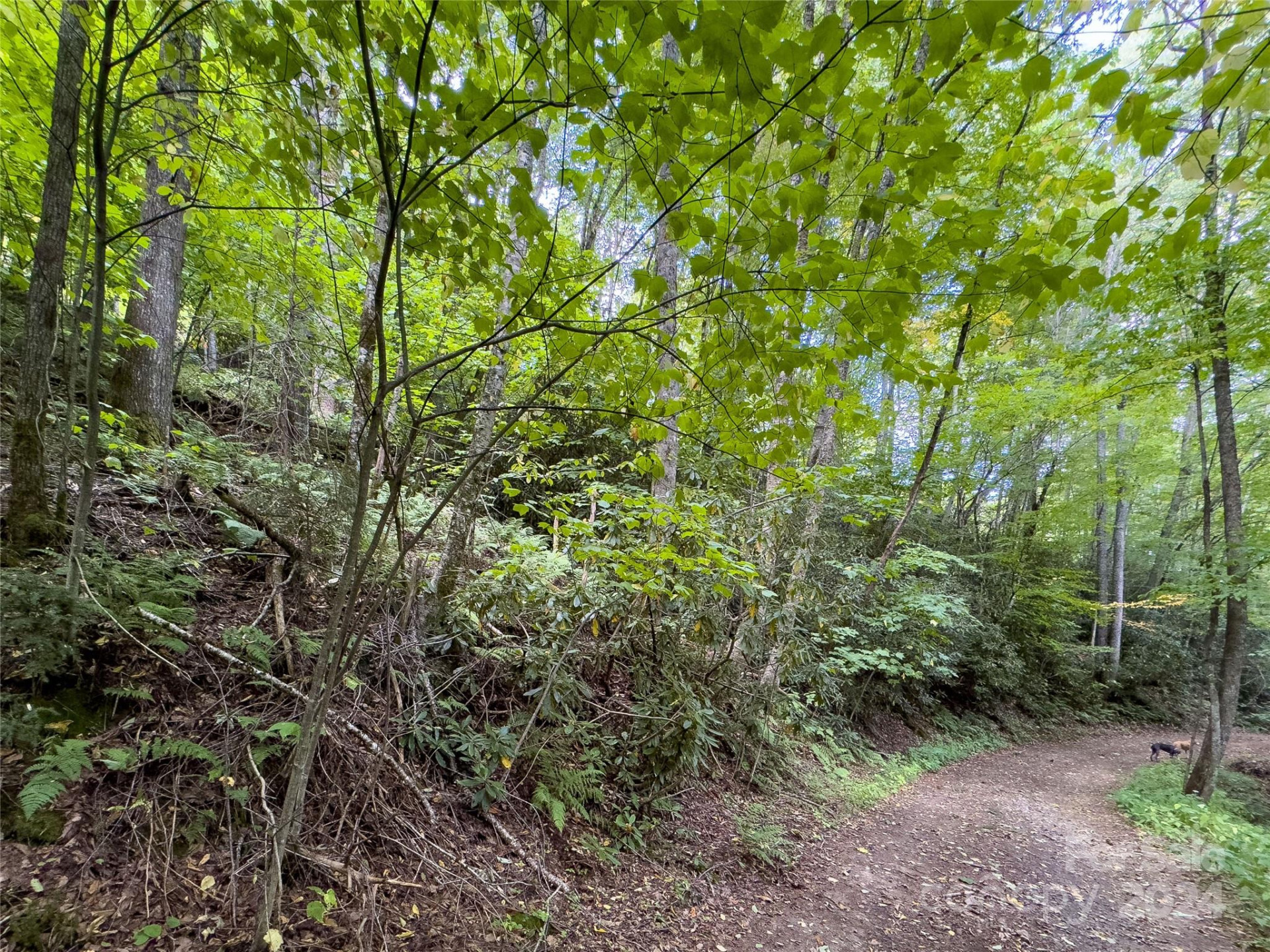 Lot 59 Black Rock Road #59 - Photo 17