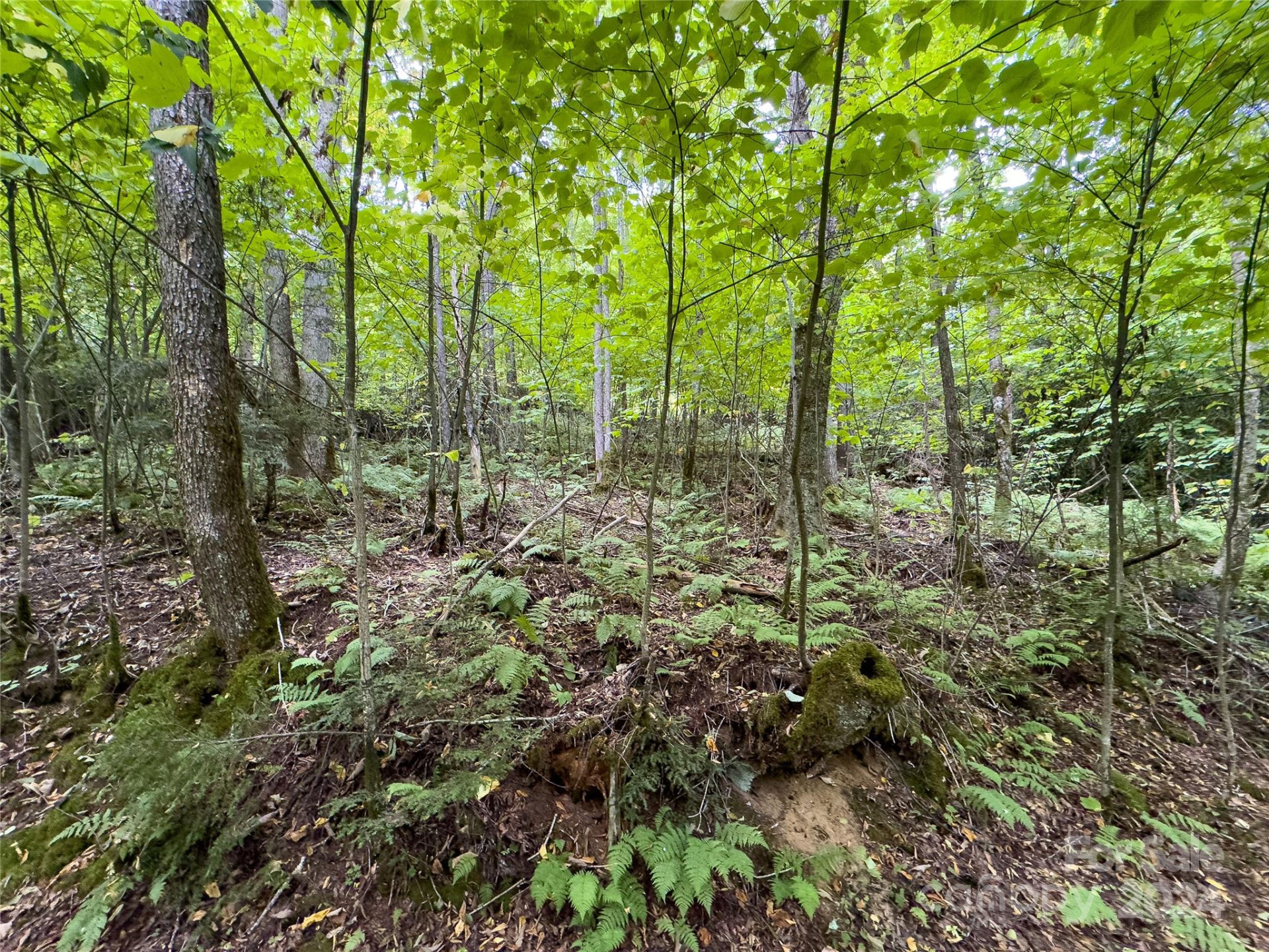 Lot 59 Black Rock Road #59 - Photo 18