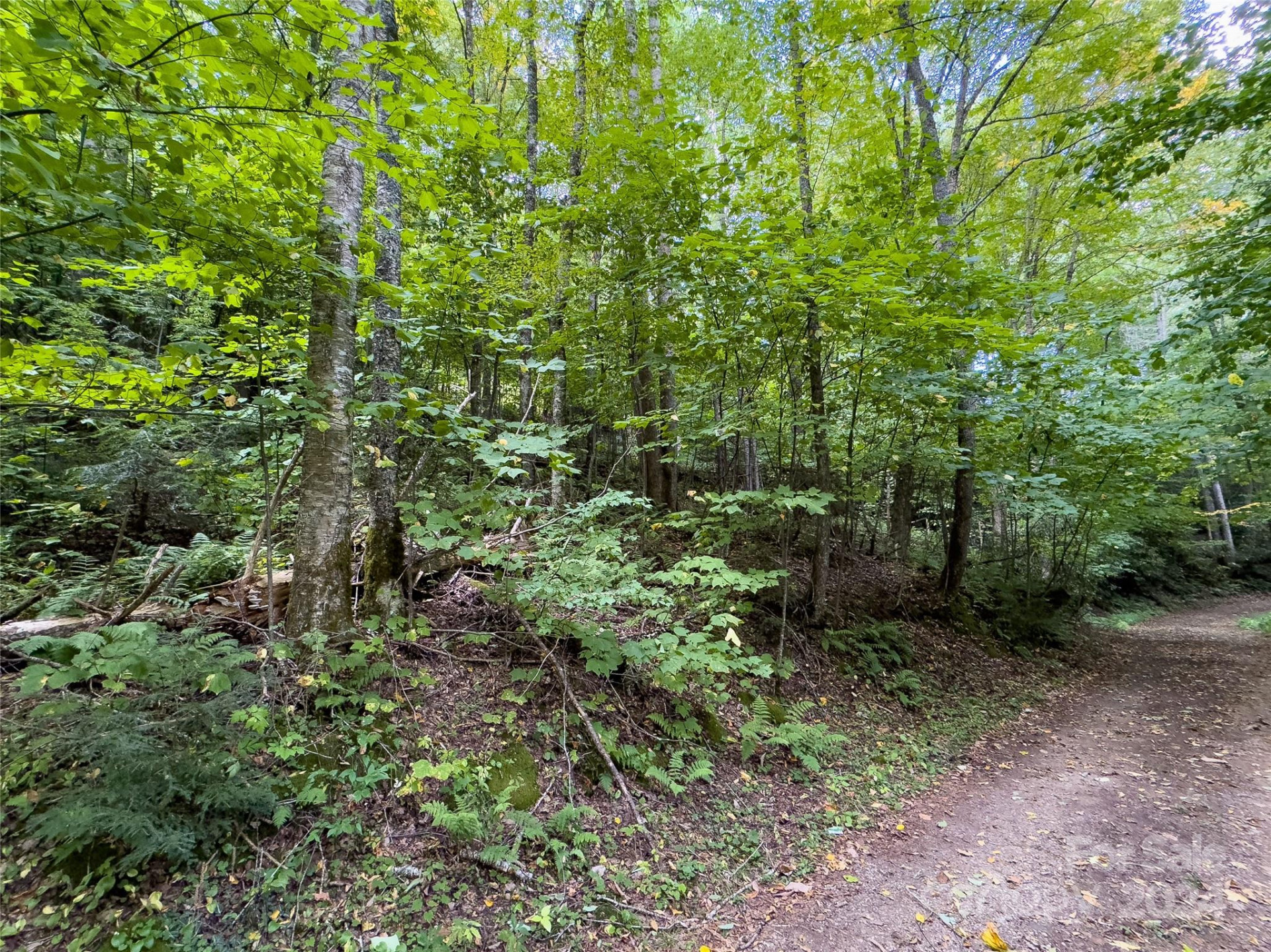 Lot 59 Black Rock Road #59 - Photo 19