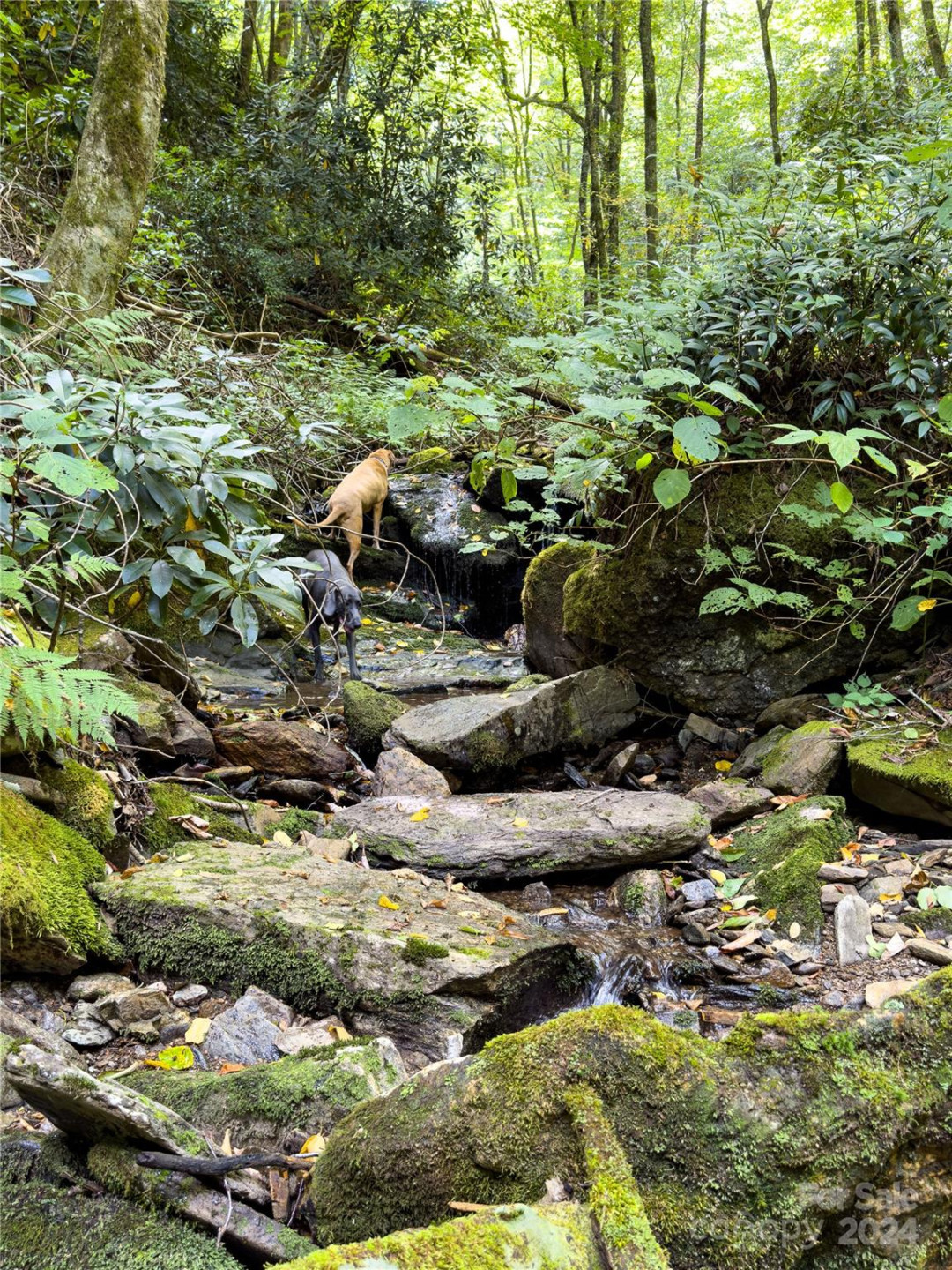 Lot 59 Black Rock Road #59 - Photo 3