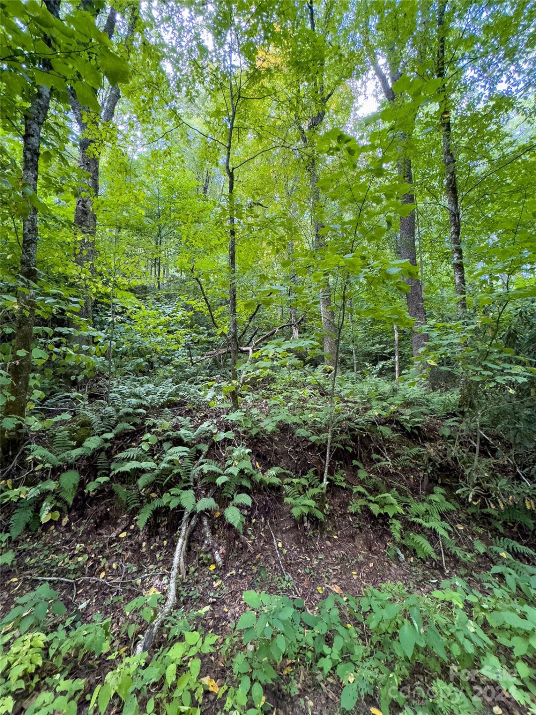 Lot 59 Black Rock Road #59 - Photo 22