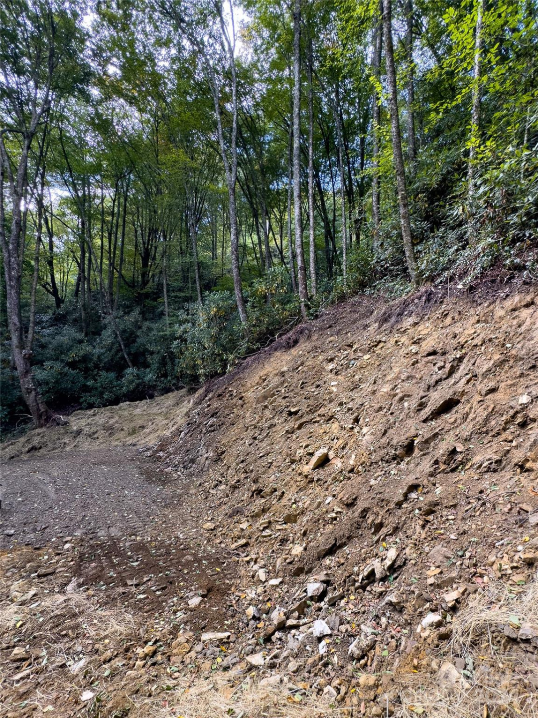 Lot 59 Black Rock Road #59 - Photo 24