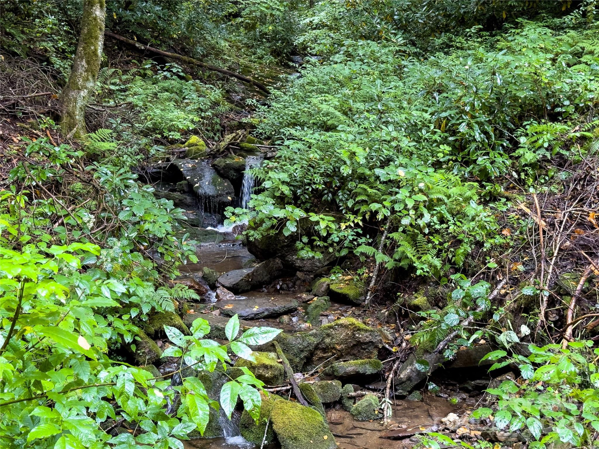 Lot 59 Black Rock Road #59 - Photo 30