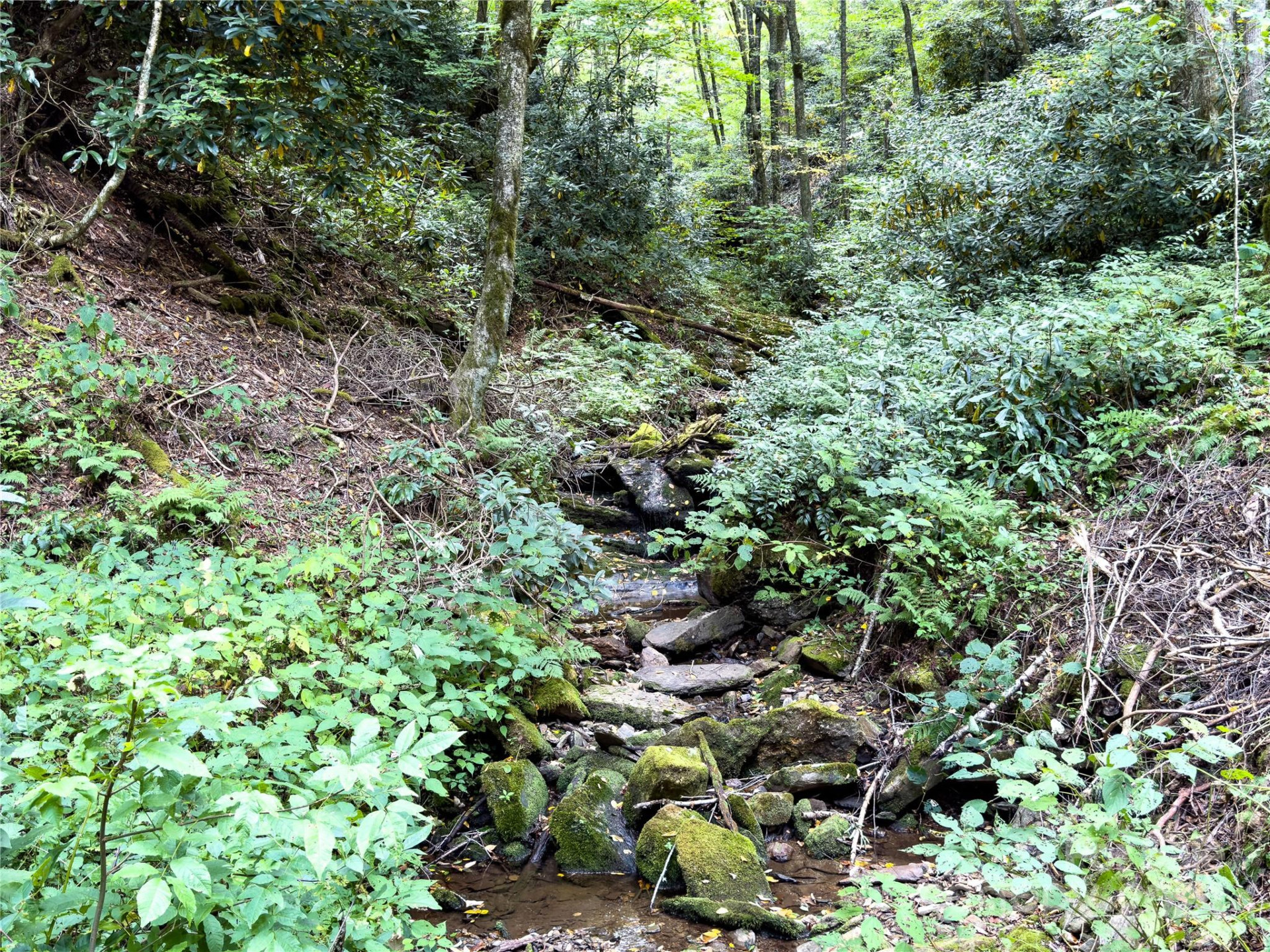 Lot 59 Black Rock Road #59 - Photo 4