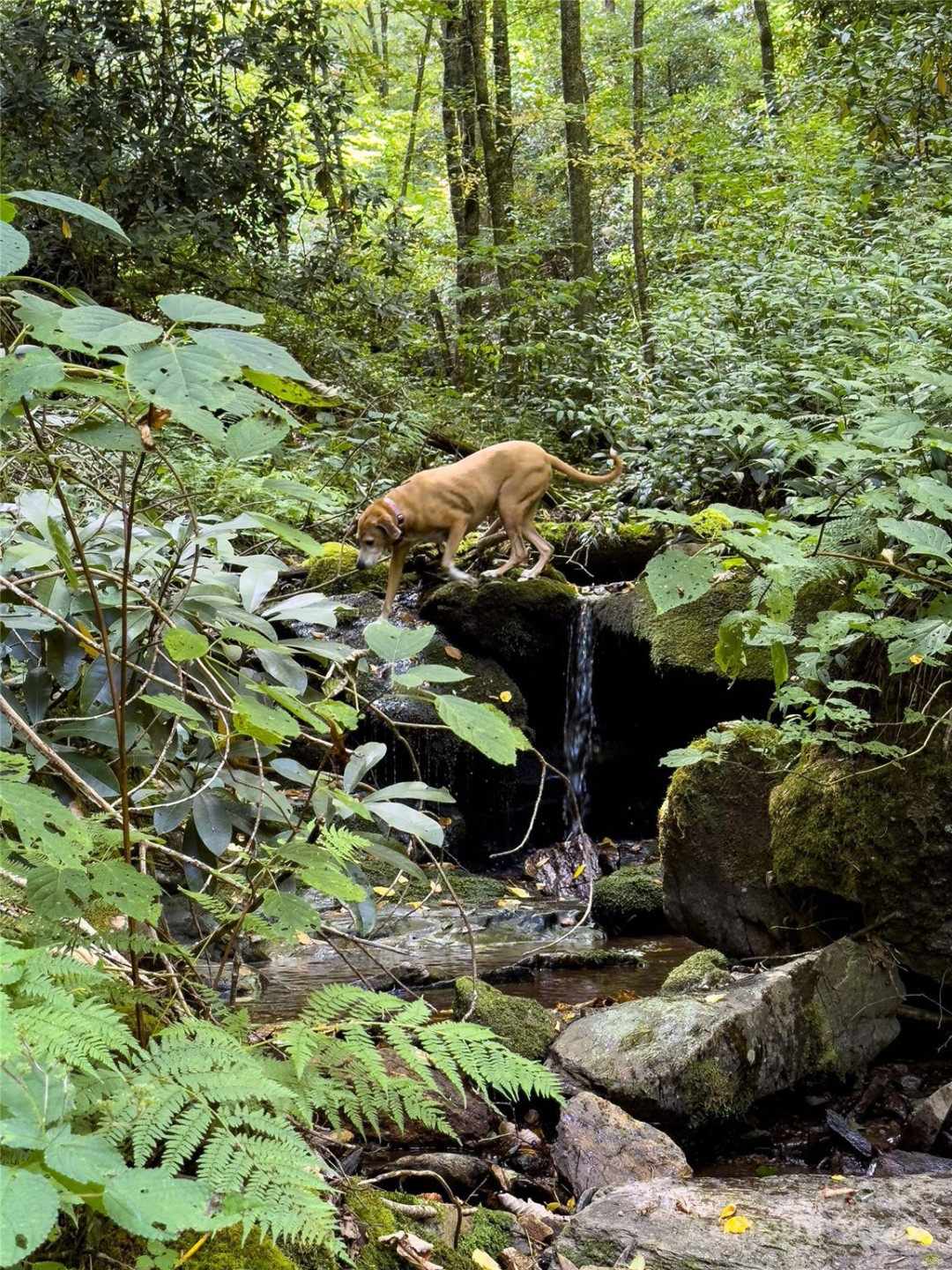 Lot 59 Black Rock Road #59 - Photo 31