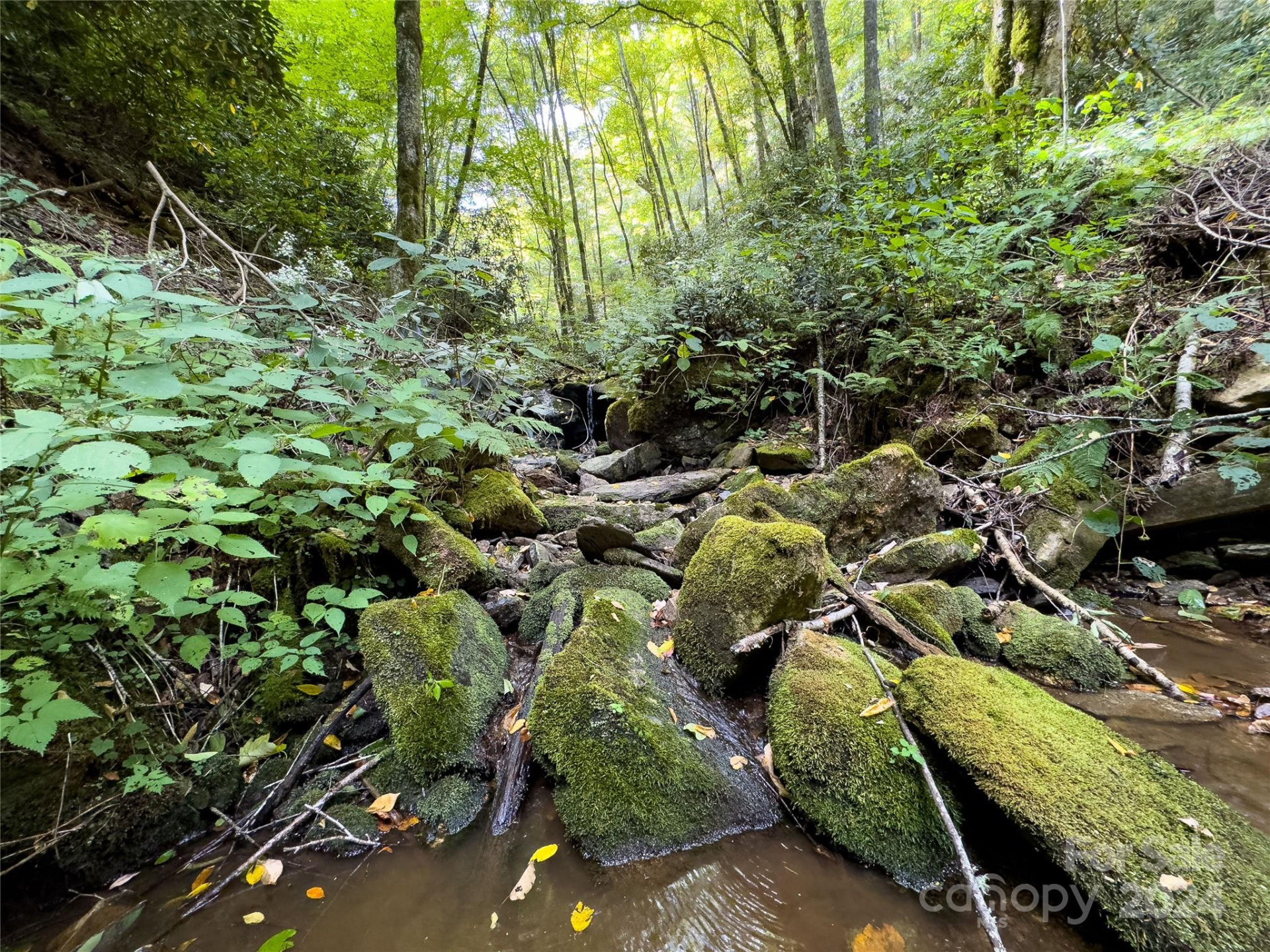 Lot 59 Black Rock Road #59 - Photo 32