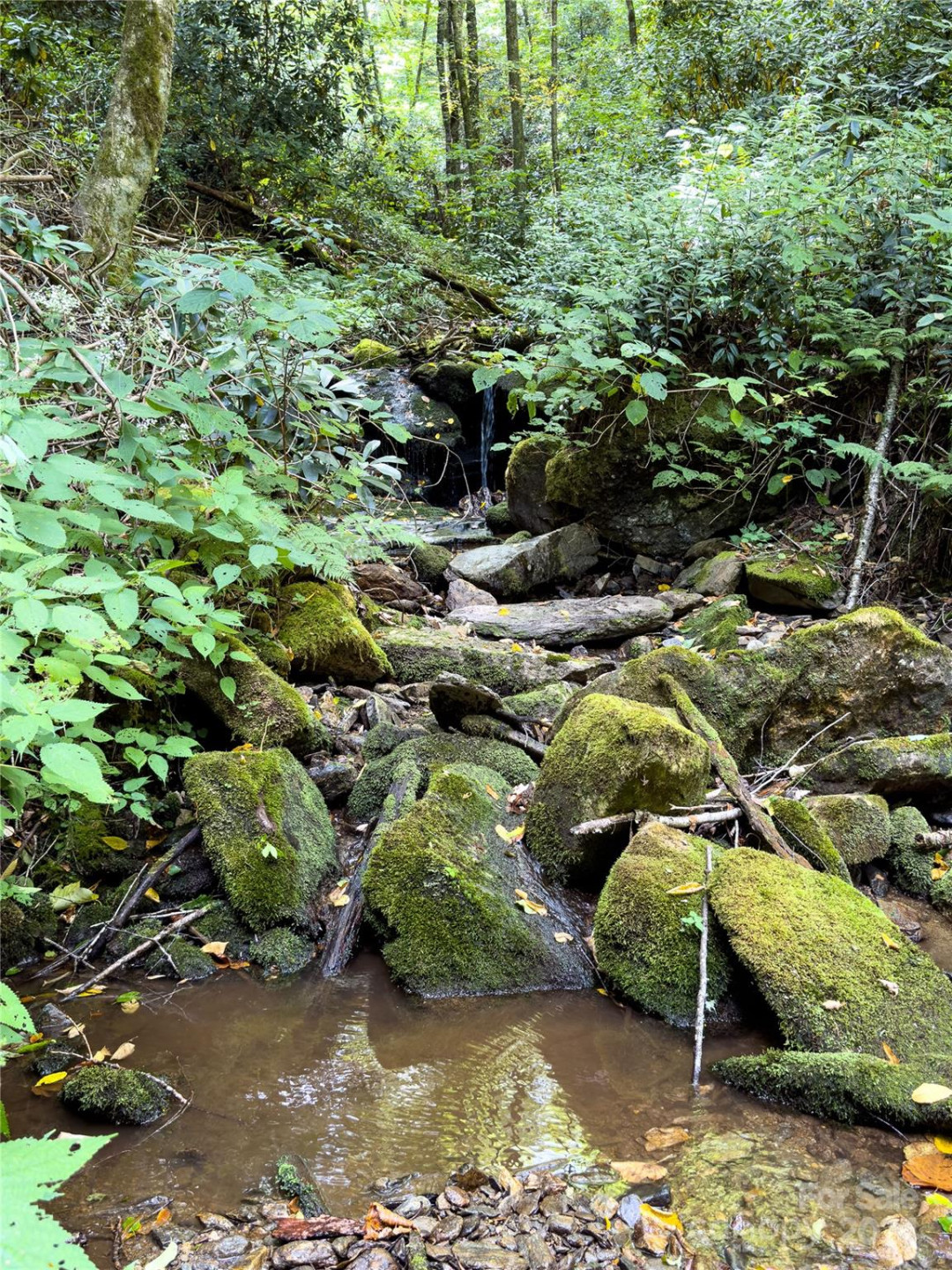 Lot 59 Black Rock Road #59 - Photo 5