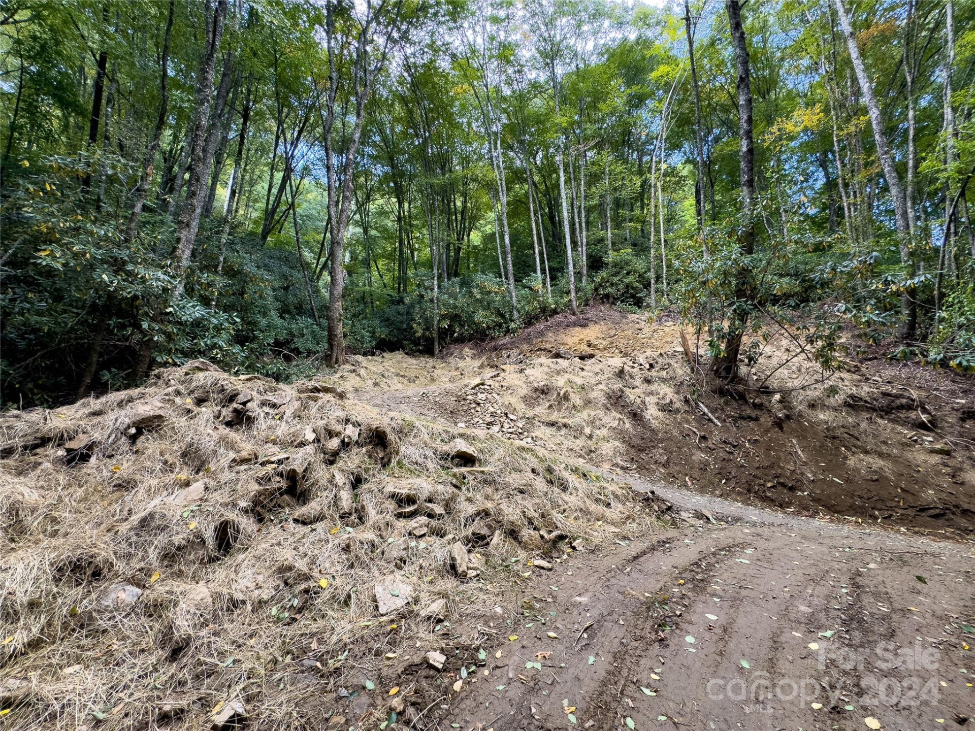 Lot 59 Black Rock Road #59 - Photo 6