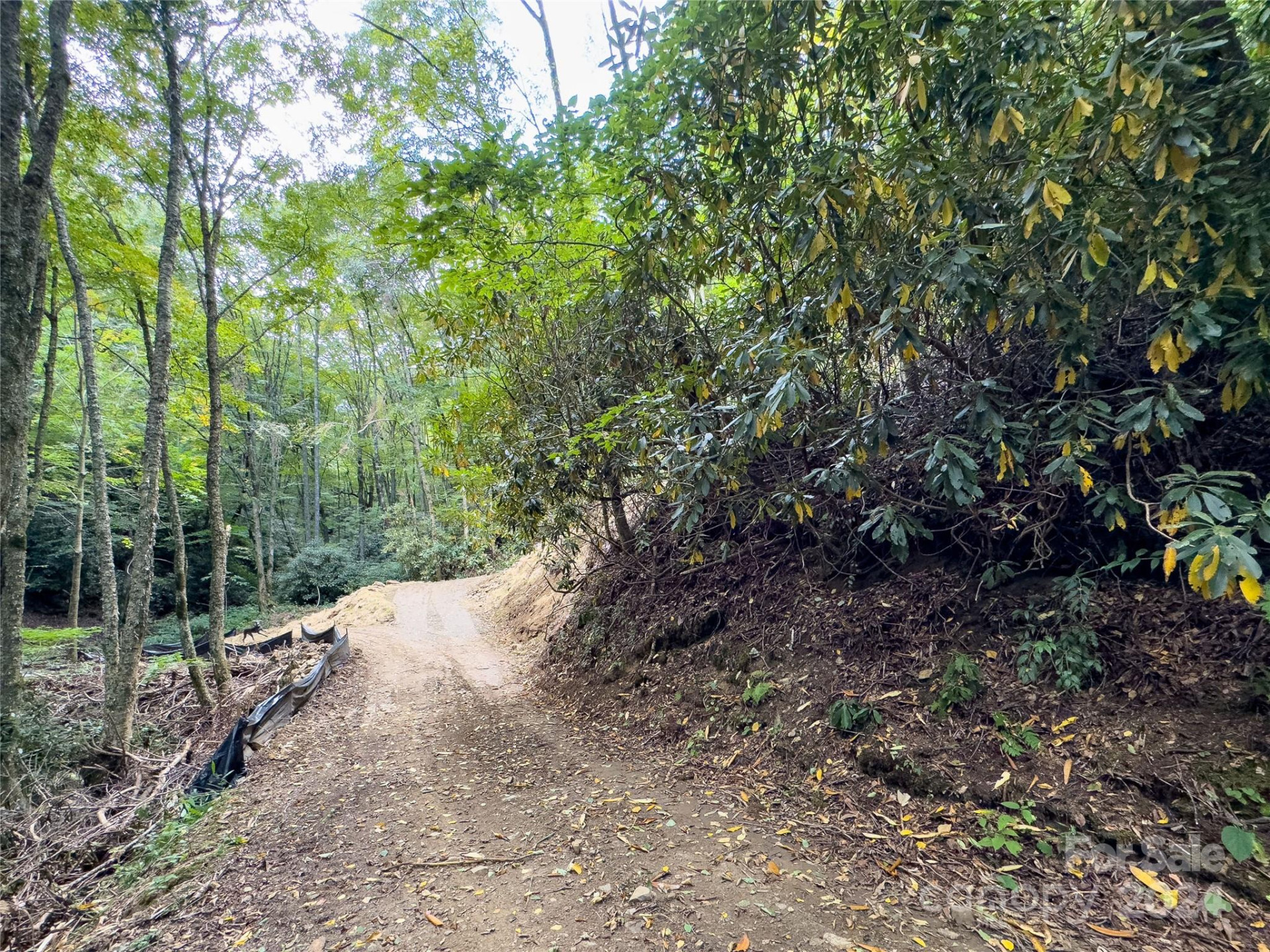 Lot 59 Black Rock Road #59 - Photo 9