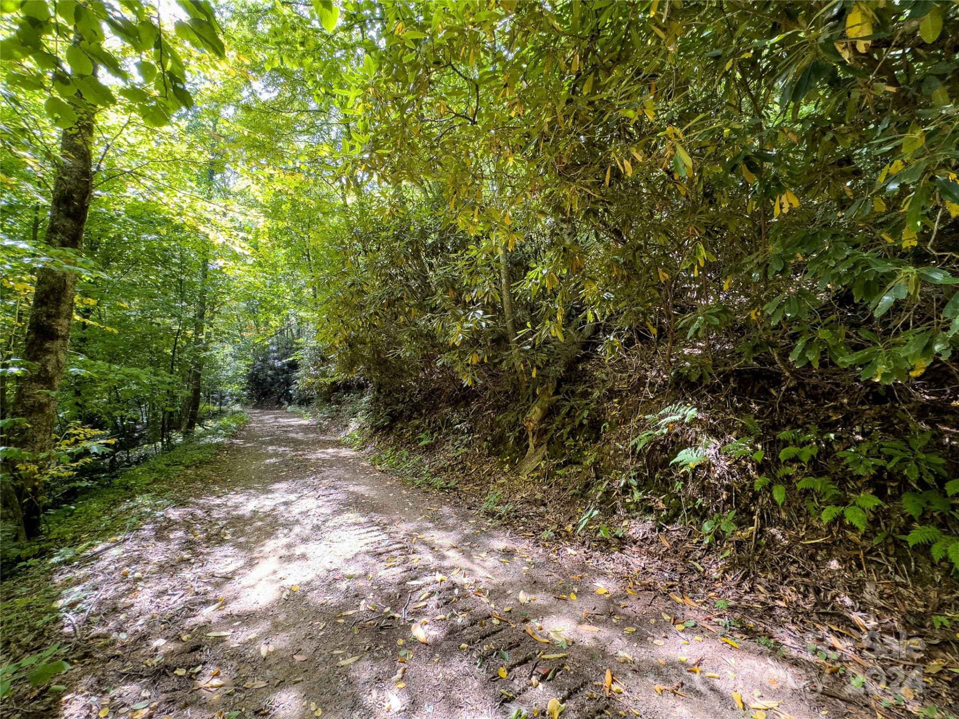 Lot 59 Black Rock Road #59 - Photo 10