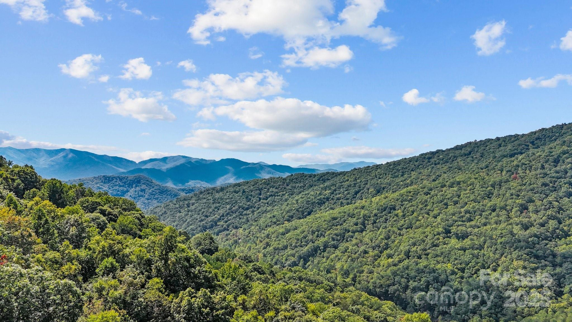 0 Brush Creek Mountain Road #41 - Photo 2