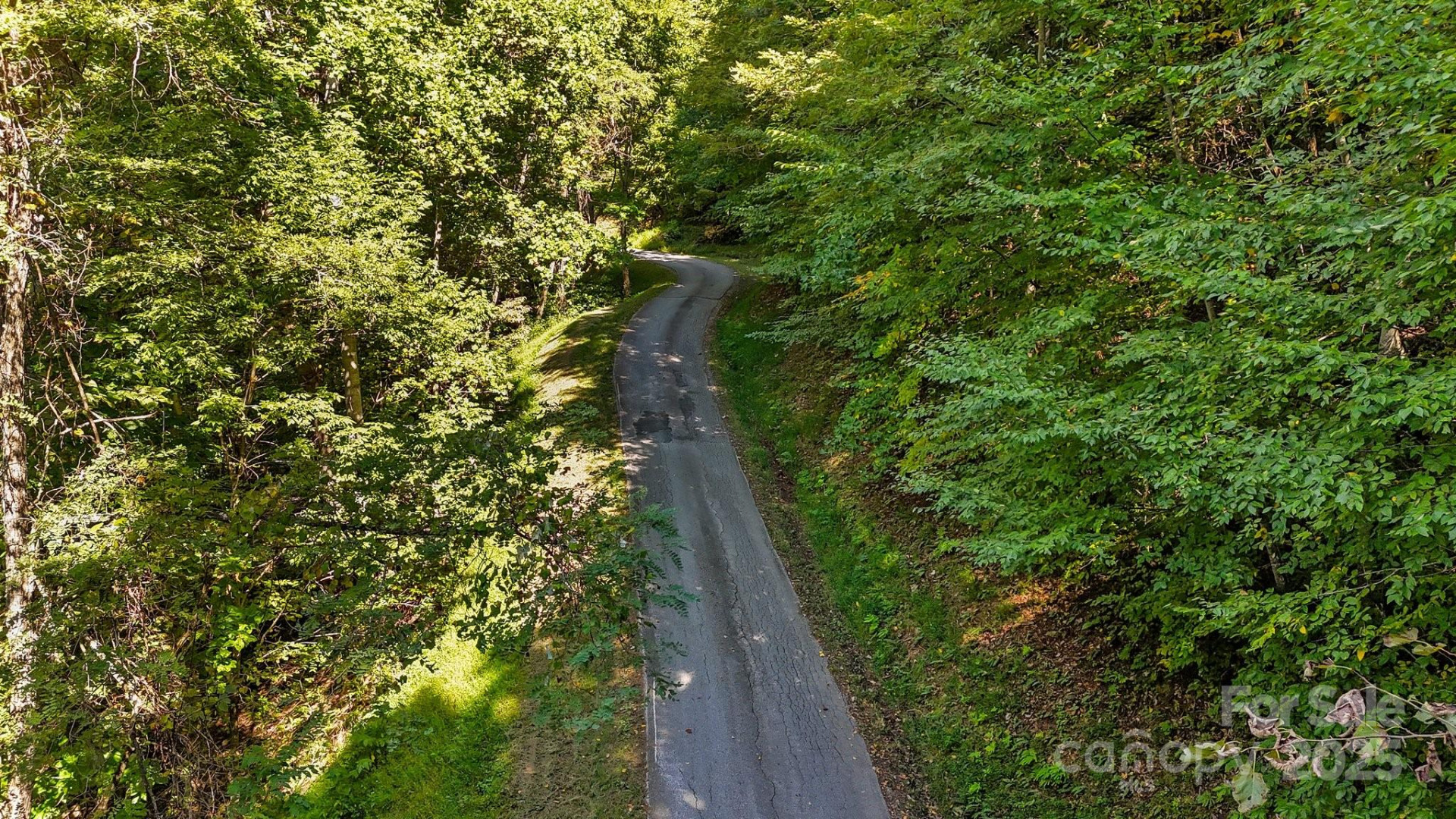 0 Brush Creek Mountain Road #41 - Photo 3