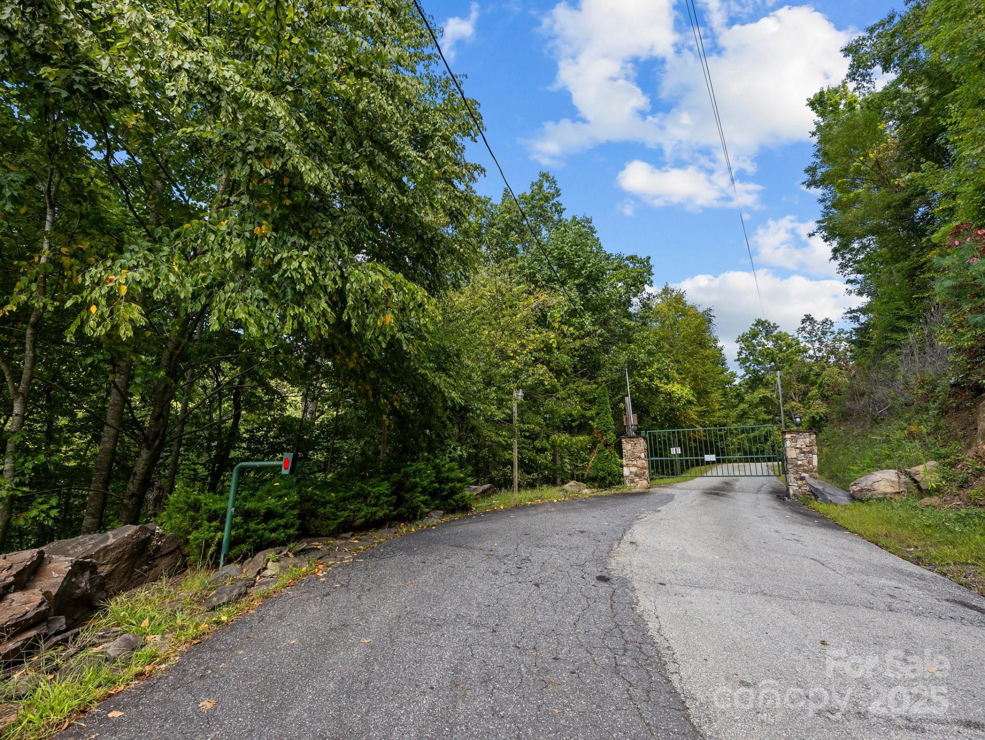 0 Brush Creek Mountain Road #41 - Photo 4